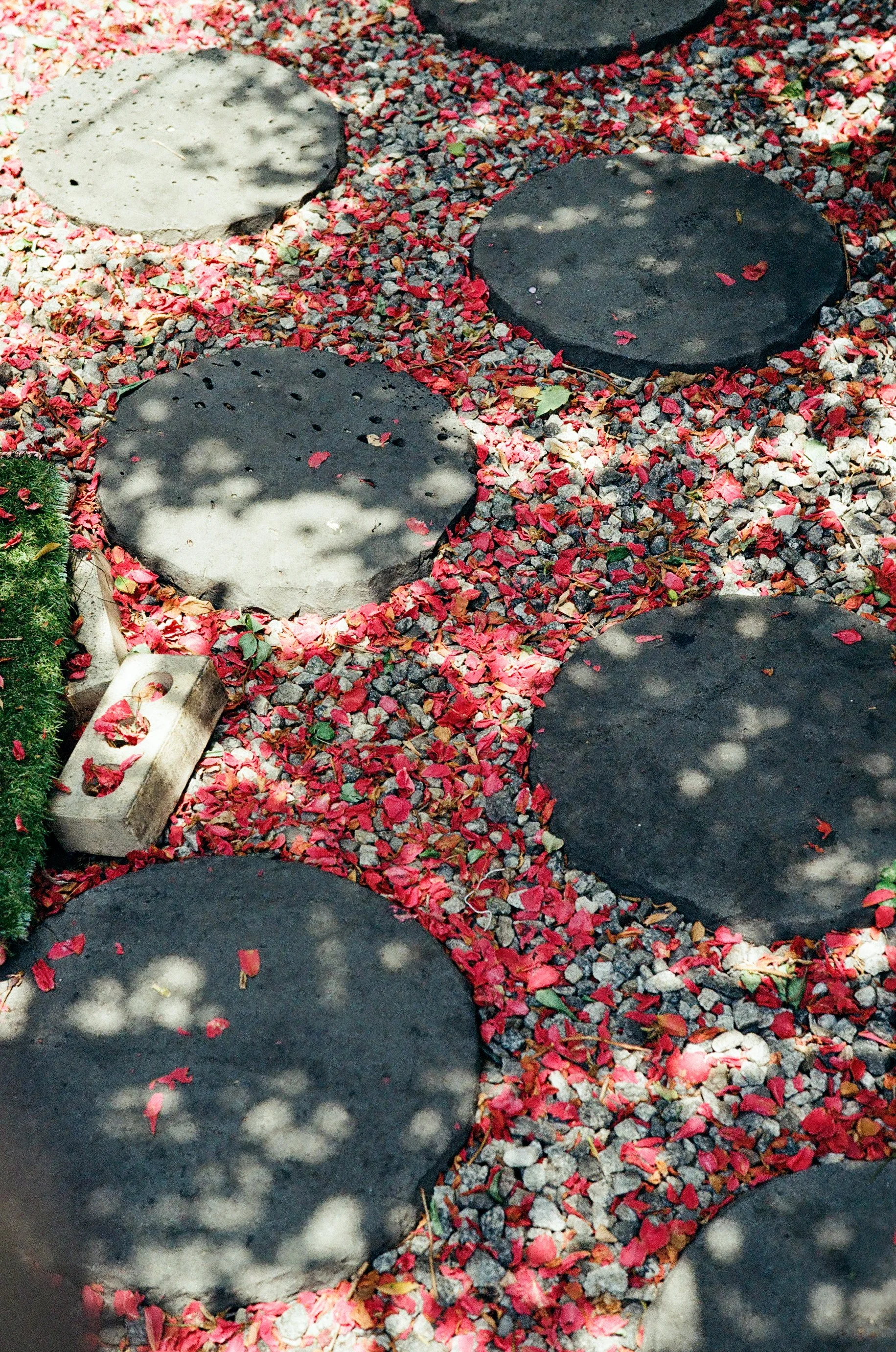 Voigtlander Nokton 50mm f1.5 II Sample picture on film