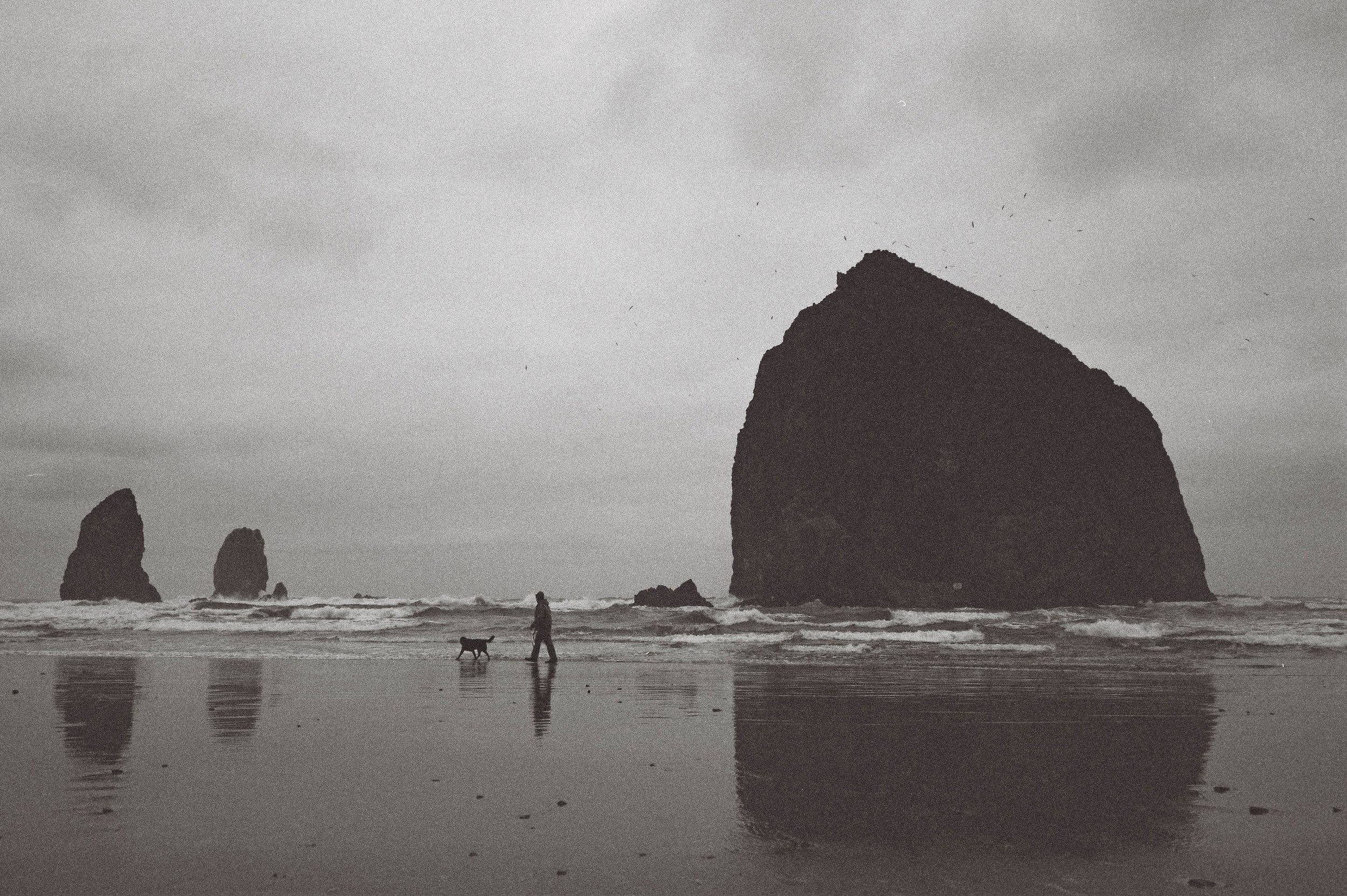 CatLABS X FILM 320 Pro BW Negative Film Review + Image Samples