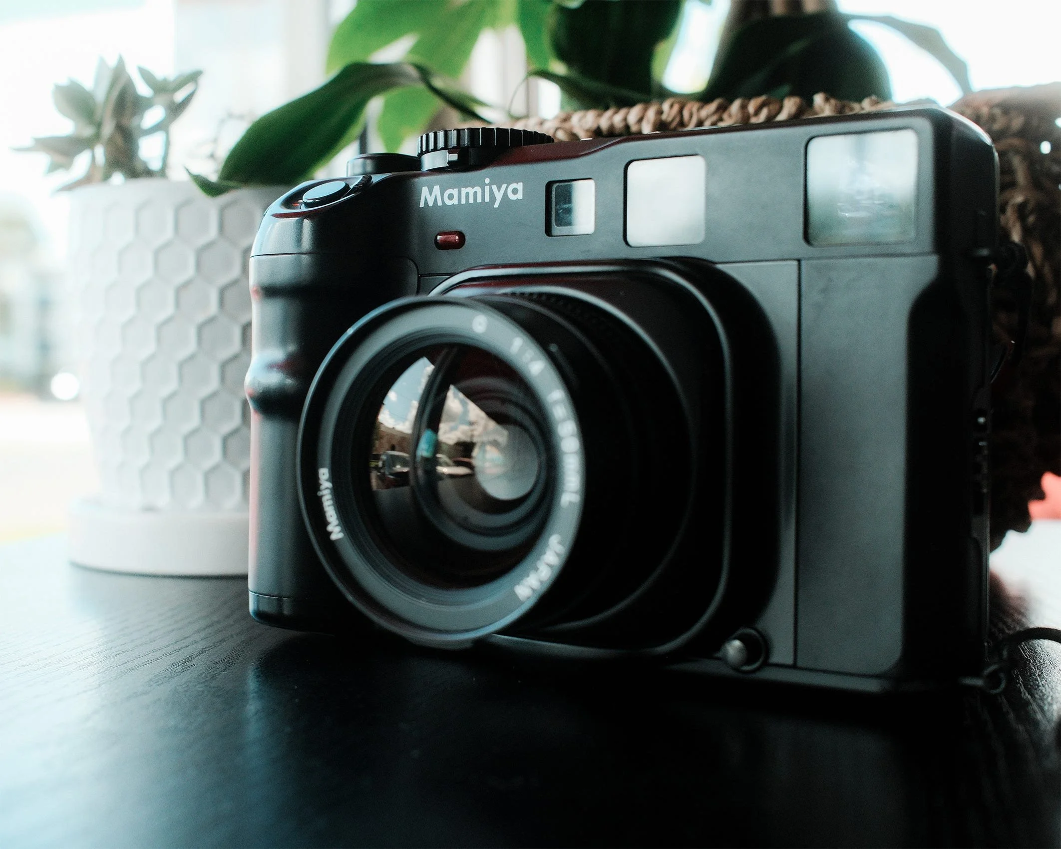 Mamiya 6 Impressions: Real World Use and Struggles