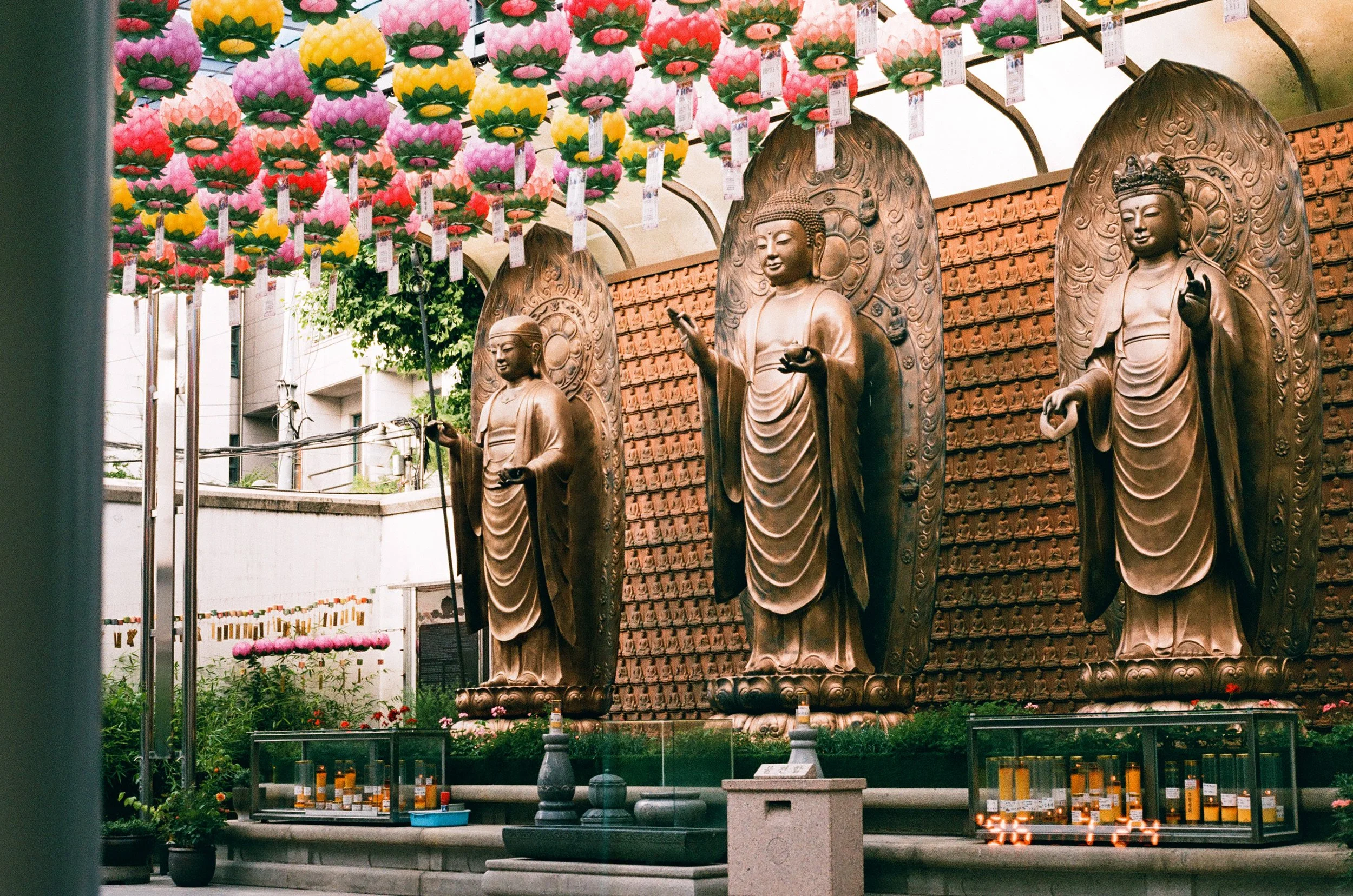Lucky Color 200 Pushed To 400: Analysis + Real World Samples
