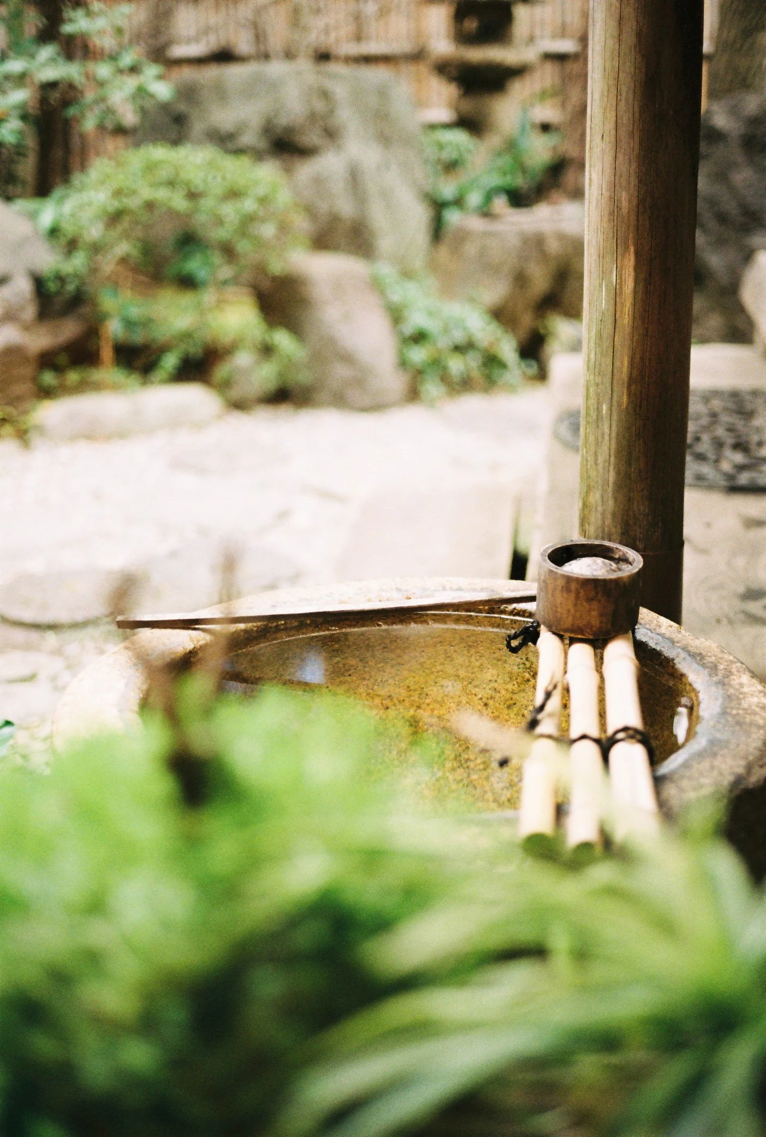 Close-up of a traditional stone water basin with bamboo ladles, set in a garden of a Japanese Cafe outside of Tokyo taken via film photography.