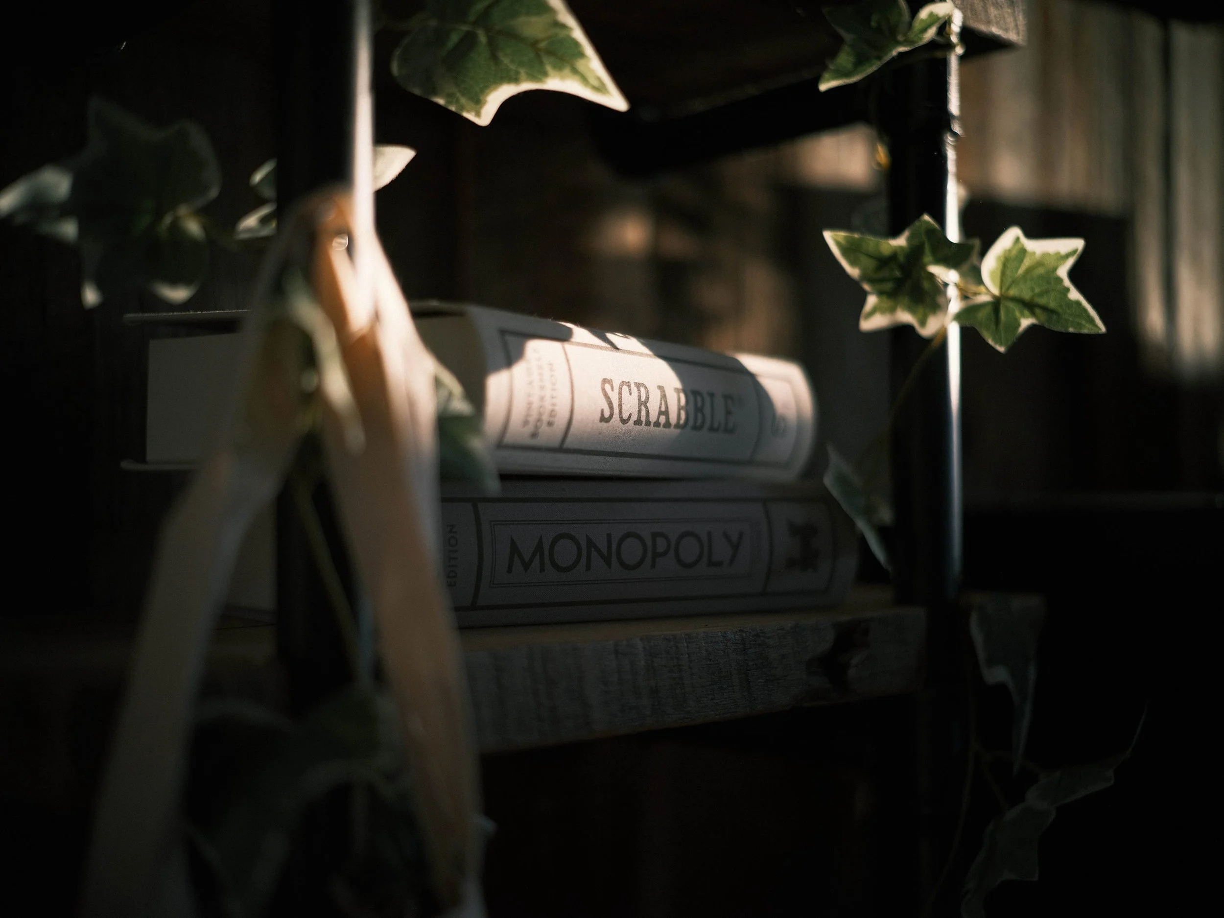 Mood image of books on a bookshelf that has foiliage on it  taken with the Fujifilm GFX 50R and Voigtlander 50mm f1.5 II combination