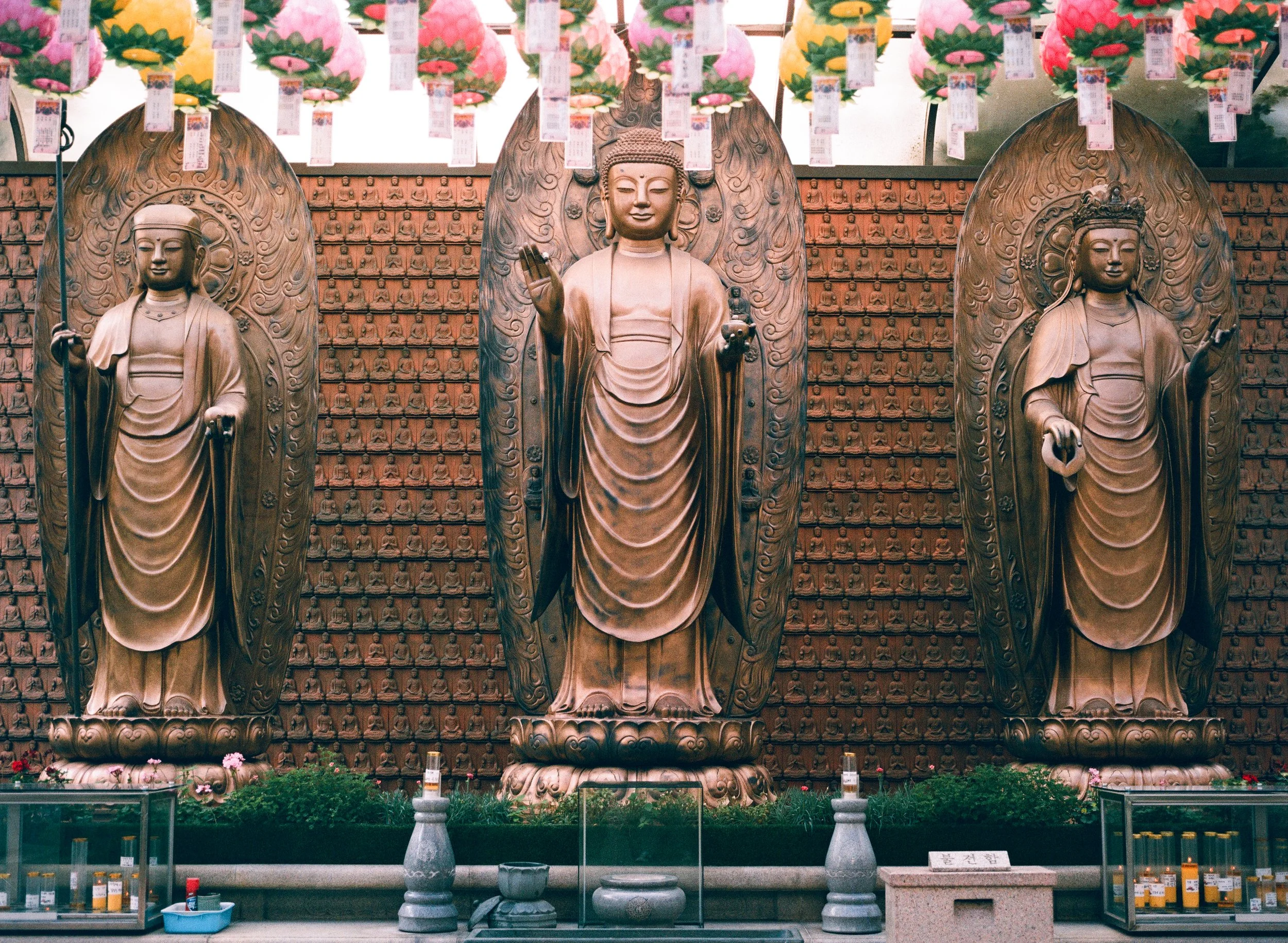 Film picture of Buddha statues in South Korea