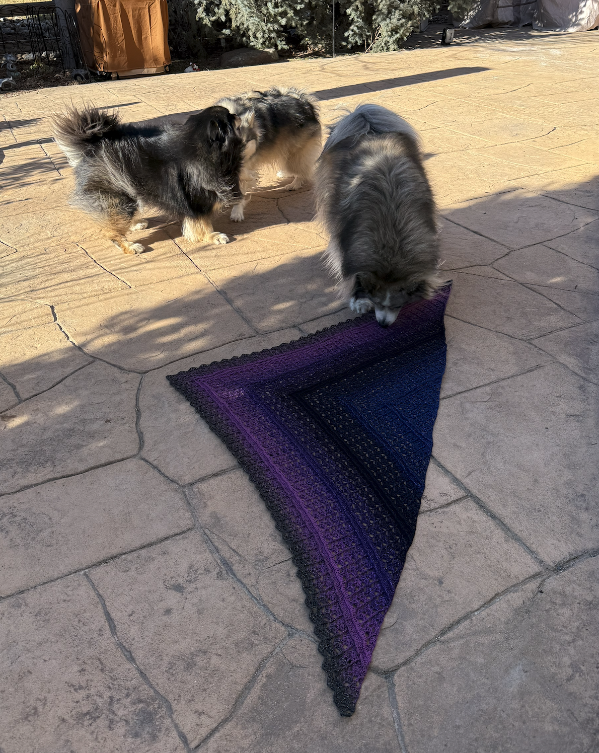 Screenshot 2026-03-14 at 3.29.03 PM.png