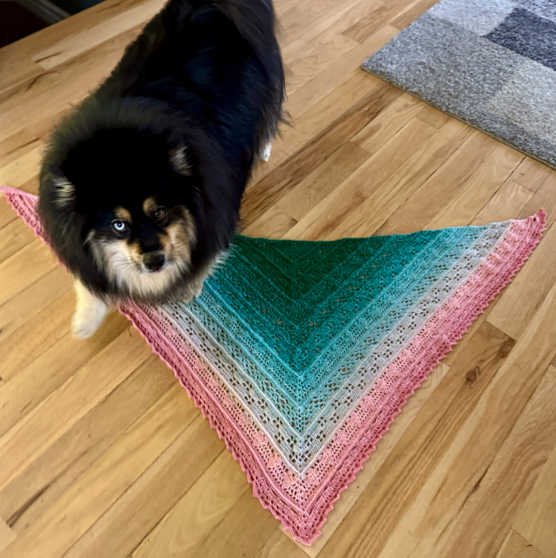 Screenshot 2026-01-05 at 5.28.46 PM.png