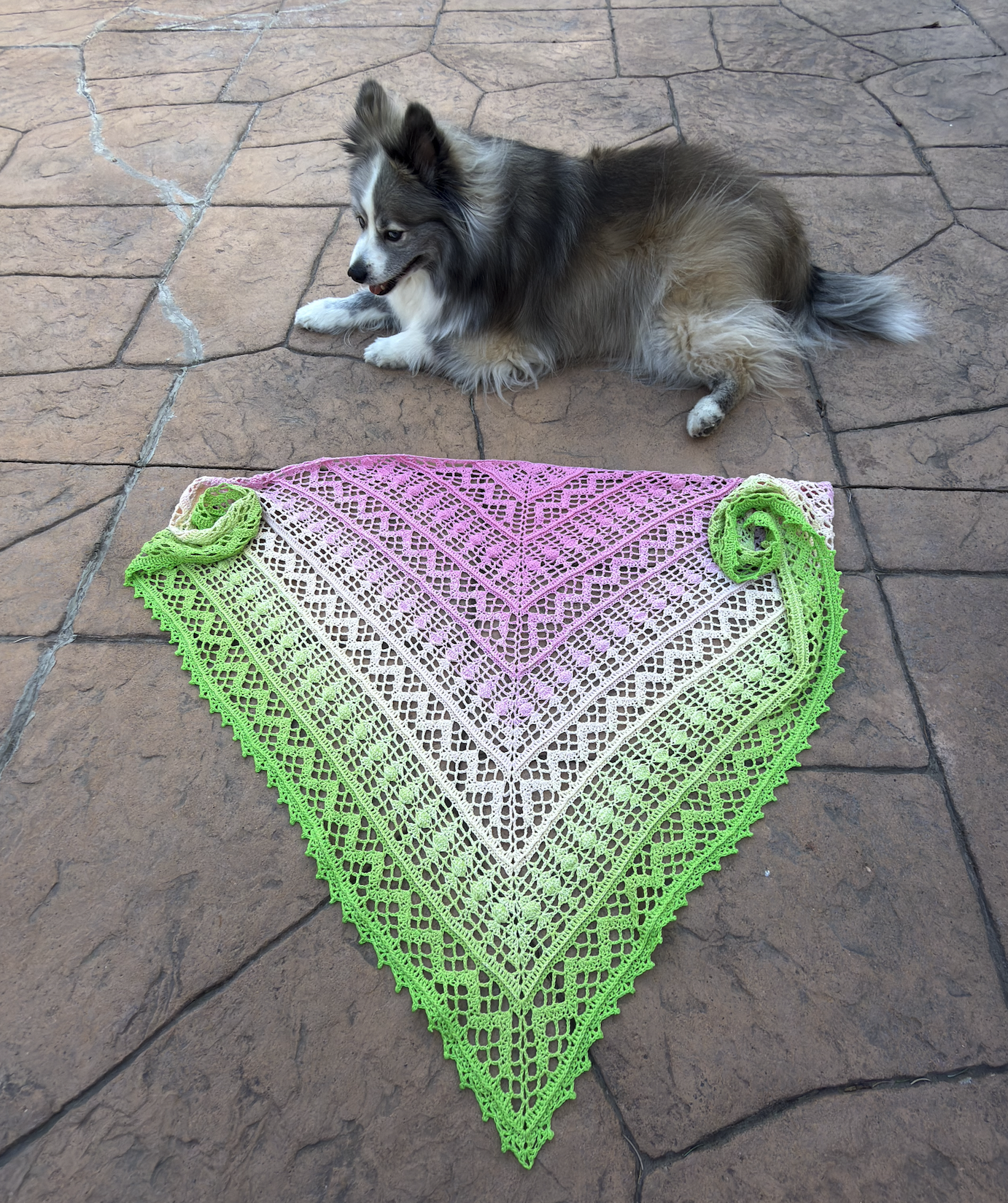 Screenshot 2026-03-25 at 3.03.39 PM.png