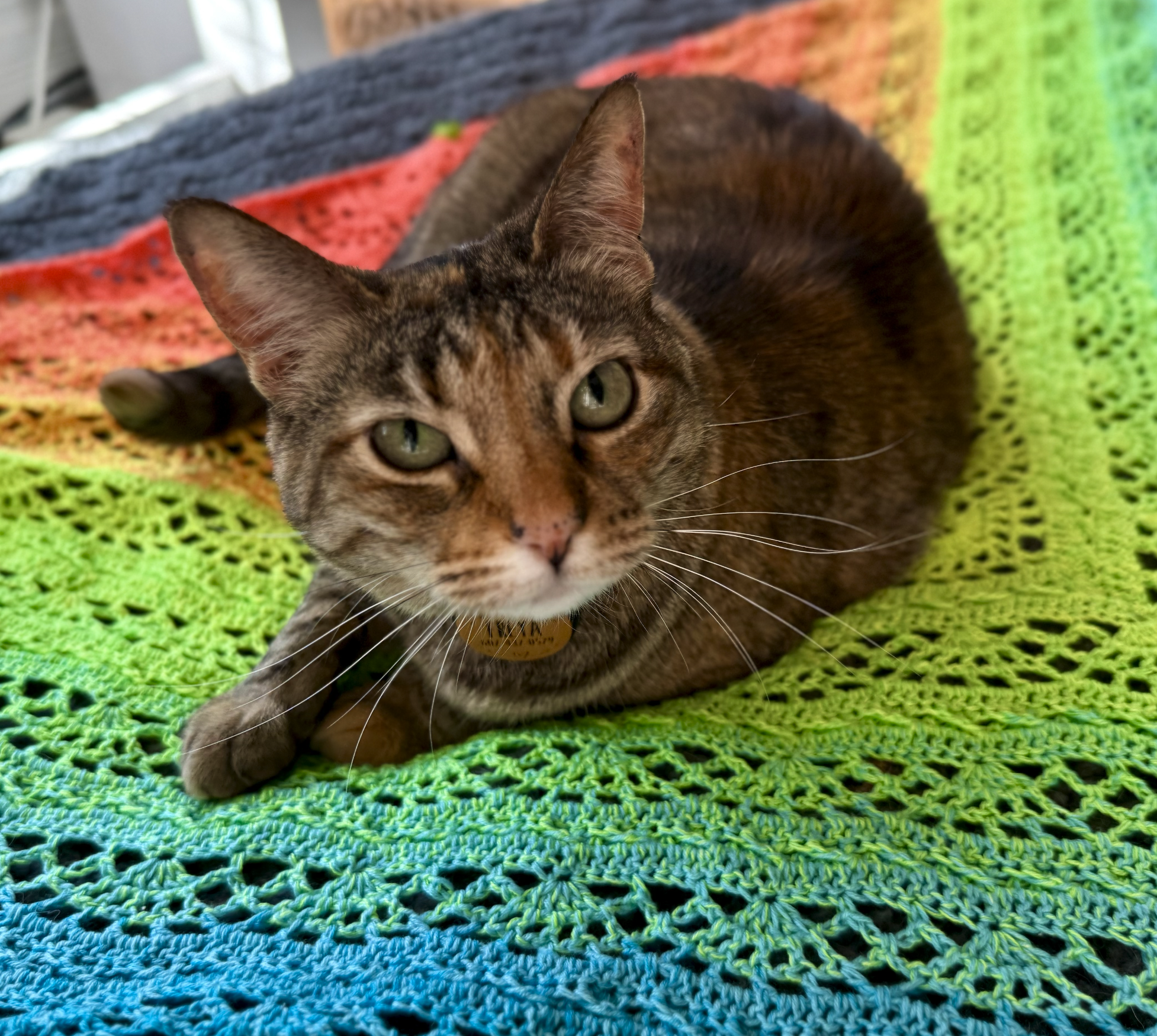 Screenshot 2025-12-31 at 7.20.39 PM.png