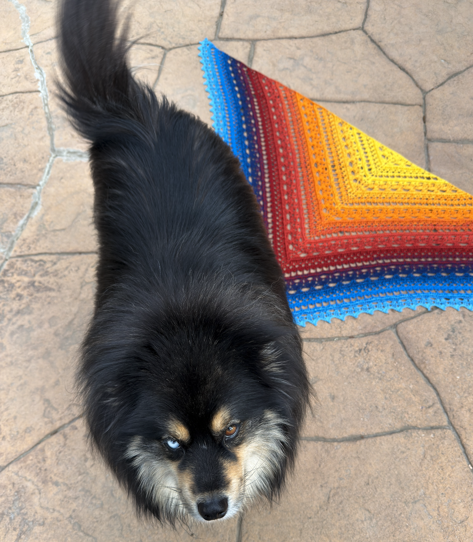 Screenshot 2026-04-23 at 5.59.47 PM.png