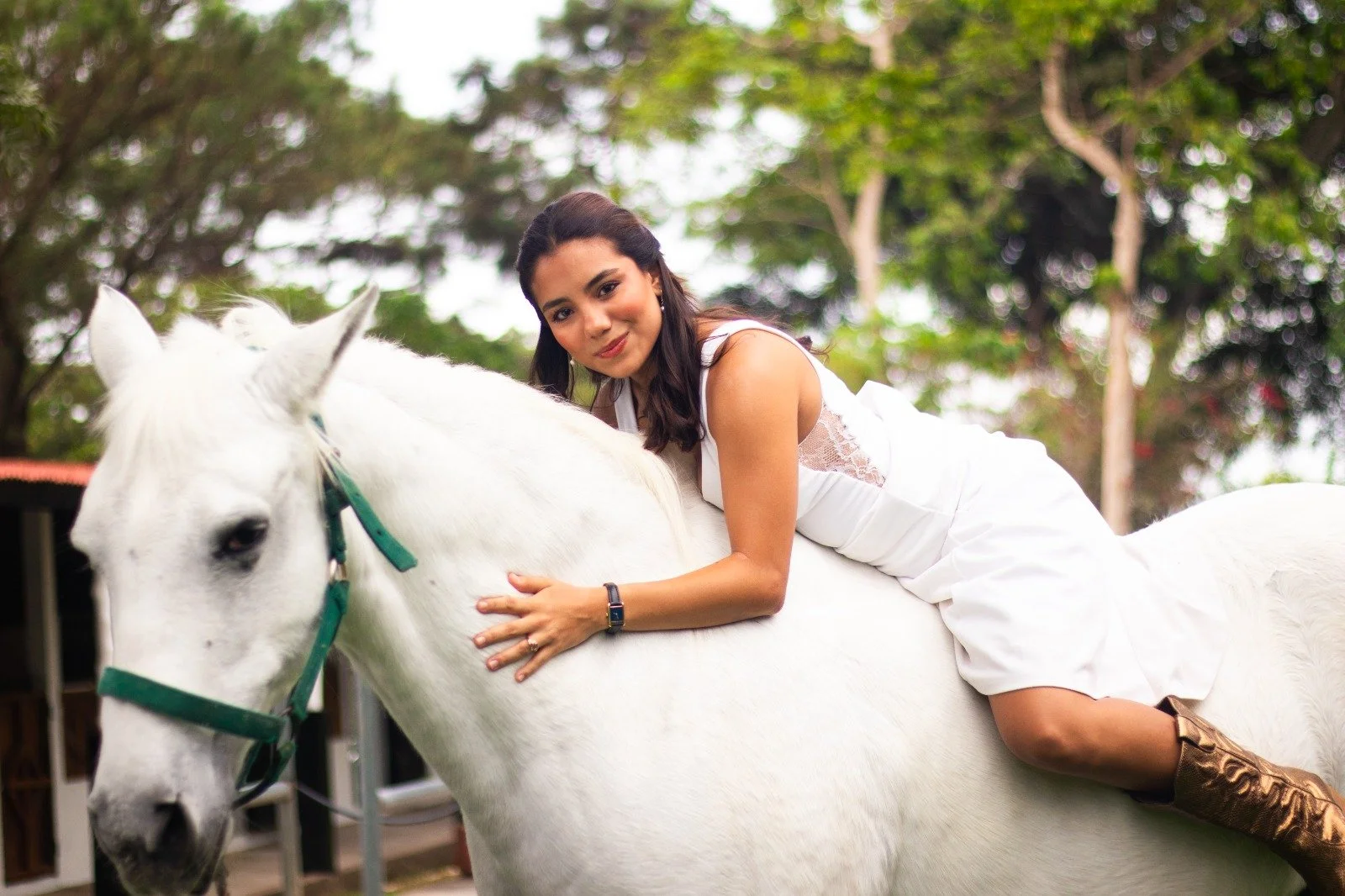 LOS CABALLOS - Nuestros caballos son los verdaderos hosts de Albaclara. Quisimos consentirlos creándoles su propio parque, donde resulta divertido verlos jugar. 

No puedes perderte visitar el parque equino. Gozarás de agradables paseos a caballo, ce