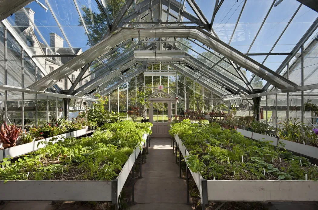 Connecticut College New London Hall Science Center