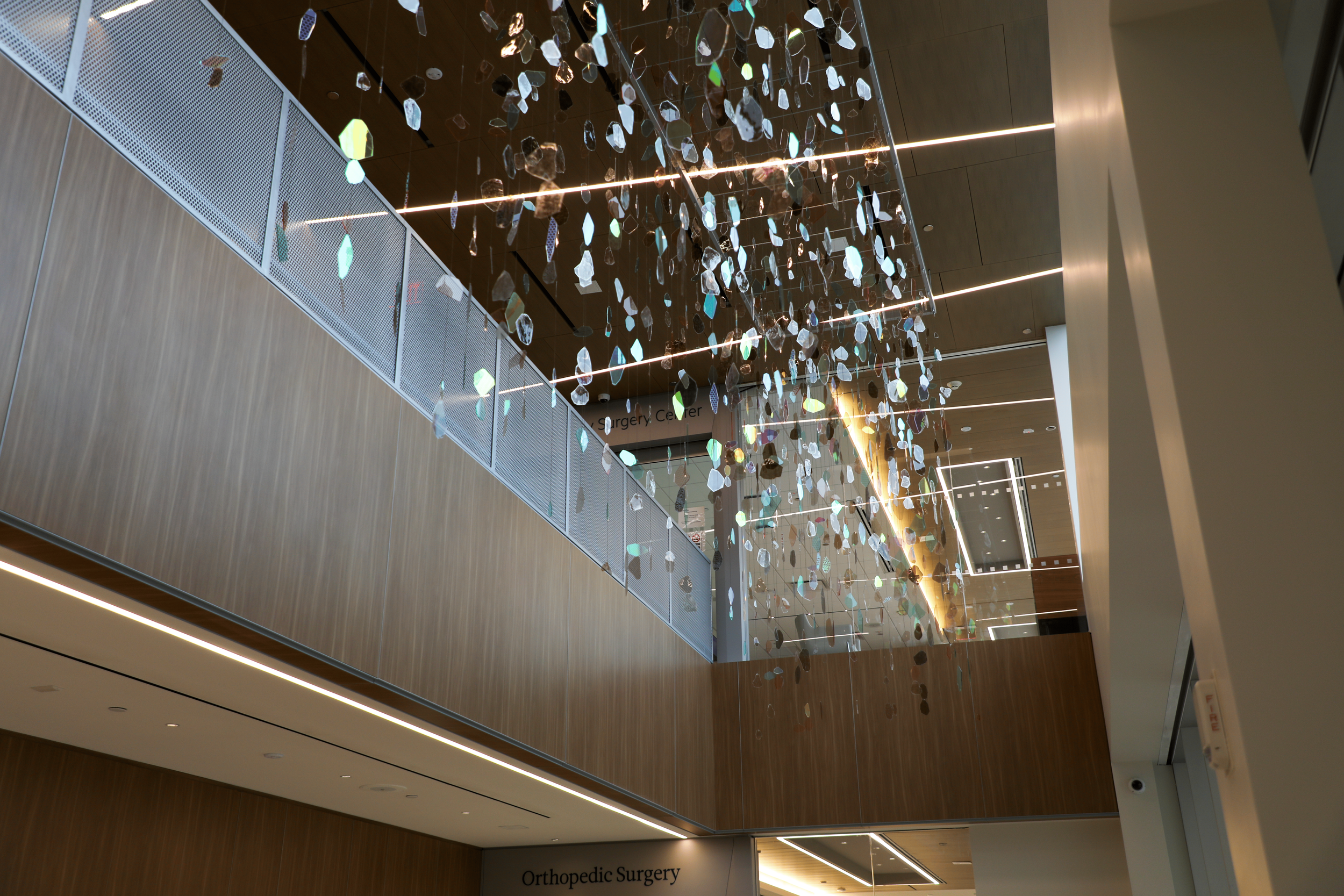 Montefiore Einstein and Montefiore Nyack Orthopedic Center of Excellence