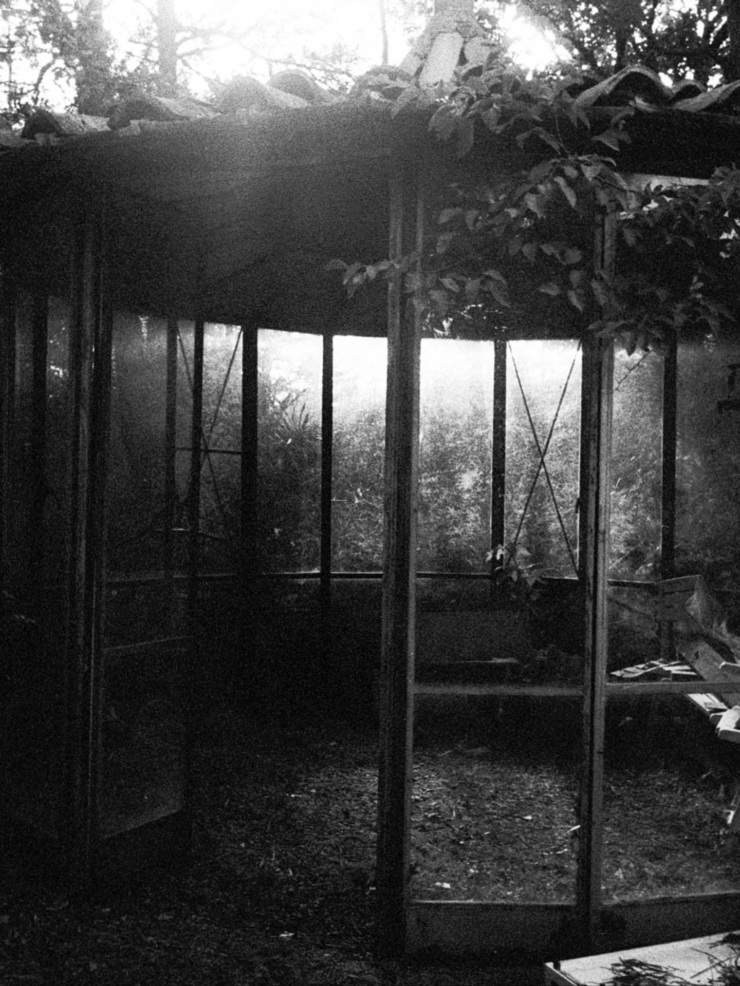 Untitled
.
.
.
.
#blackandwhite #bw #light #grain #grainisgood #canpubphoto #streetphotography #dream #mygodisthesun