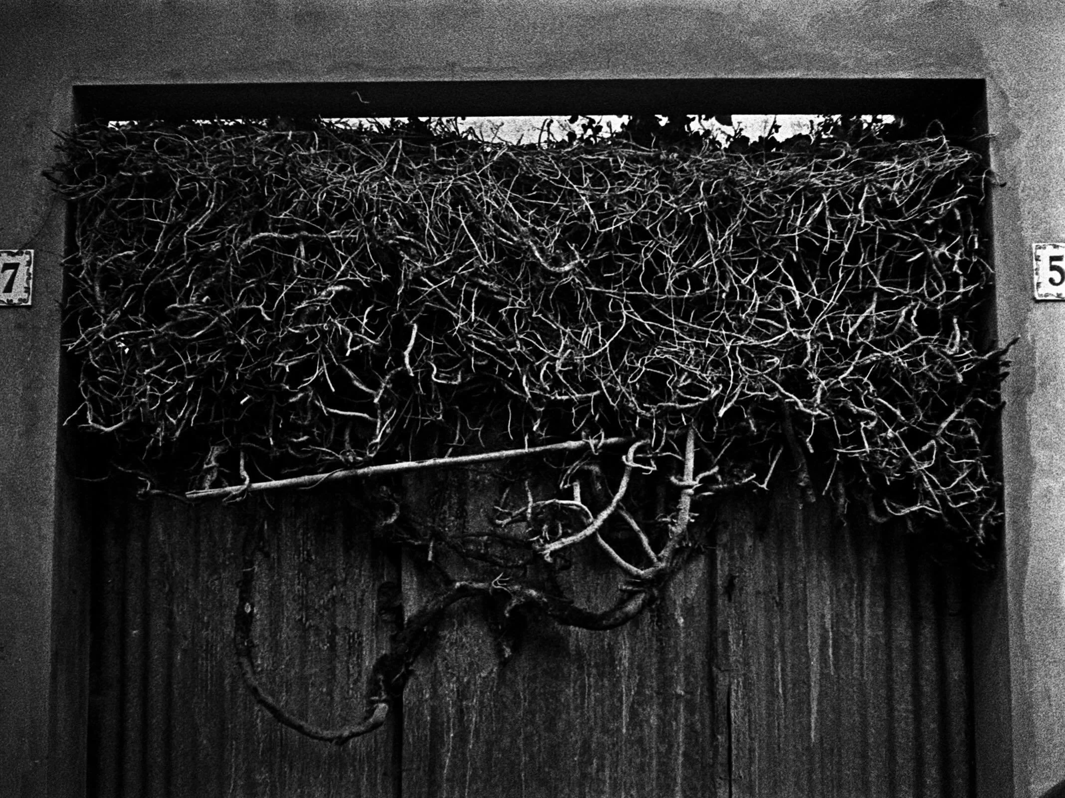 Untitled 
.
.
.
#blackandwhite #filmisnotdead #streetphotography #canpubphoto