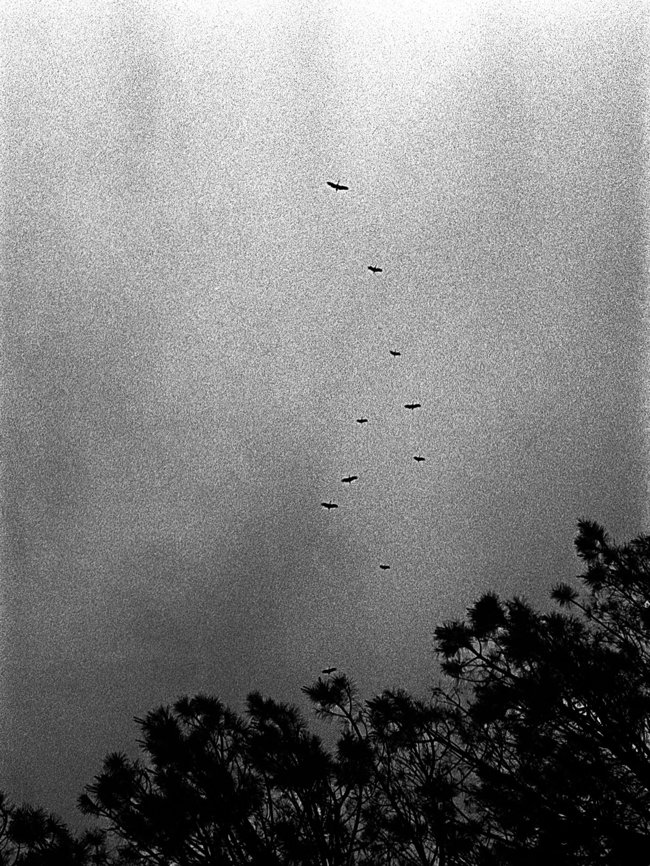 Untitled
.
.
.
#sky #blackandwhite #filmisnotdead #grain #streetphotography