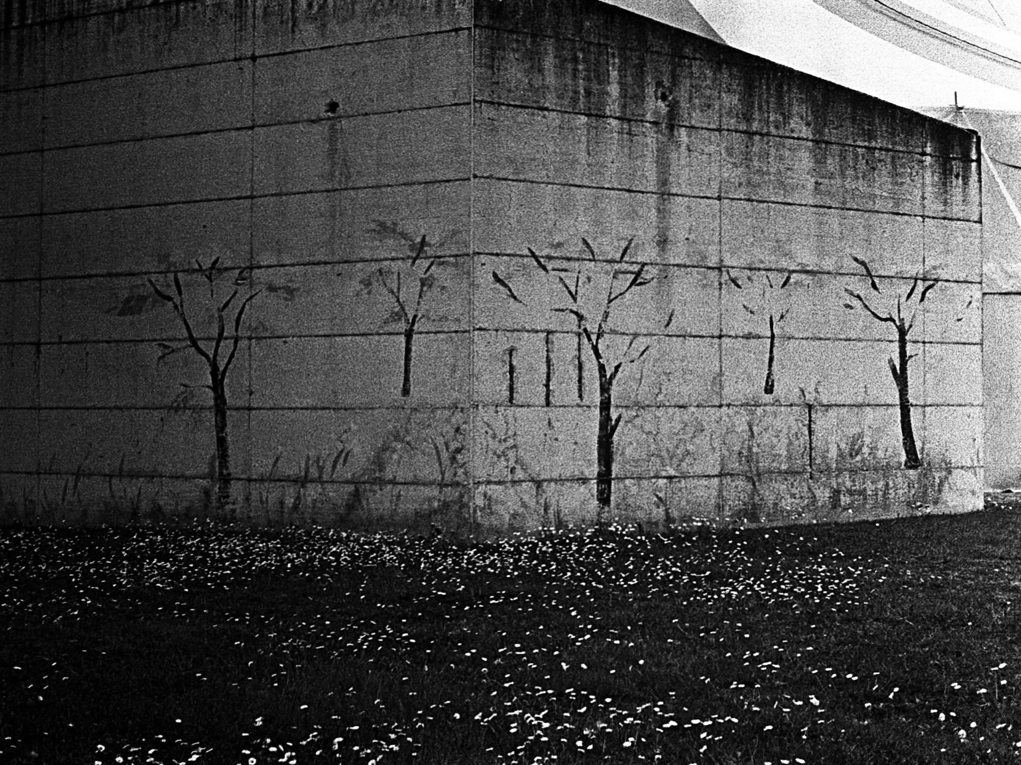 Untitled
.
.
.
#blackandwhite #filmisnotdead #grain #streetphotography #canpubphoto