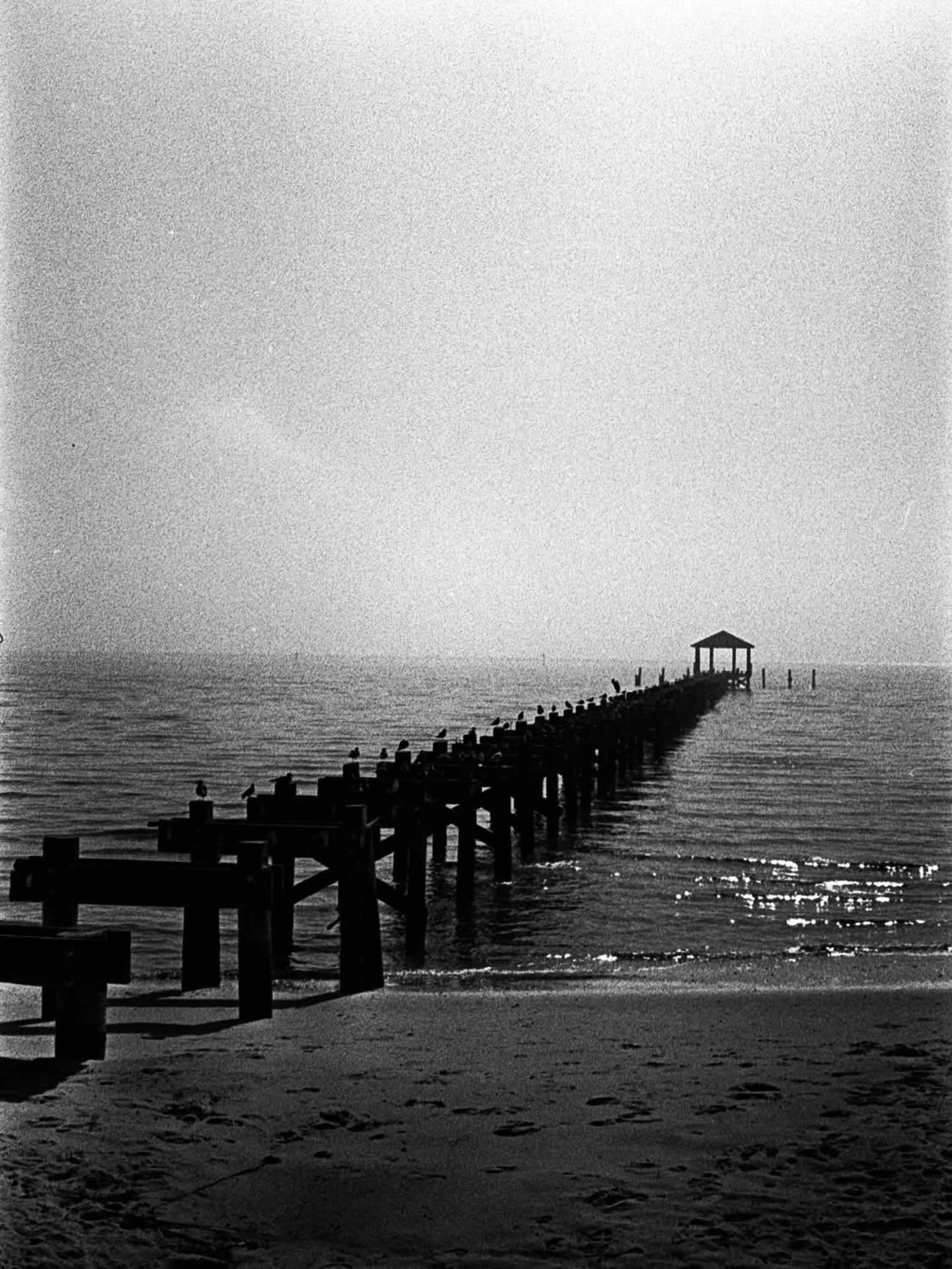 Untitled
.
.
.
.
#blackandwhite #sea #grainisgood #filmisnotdead #streetphotography