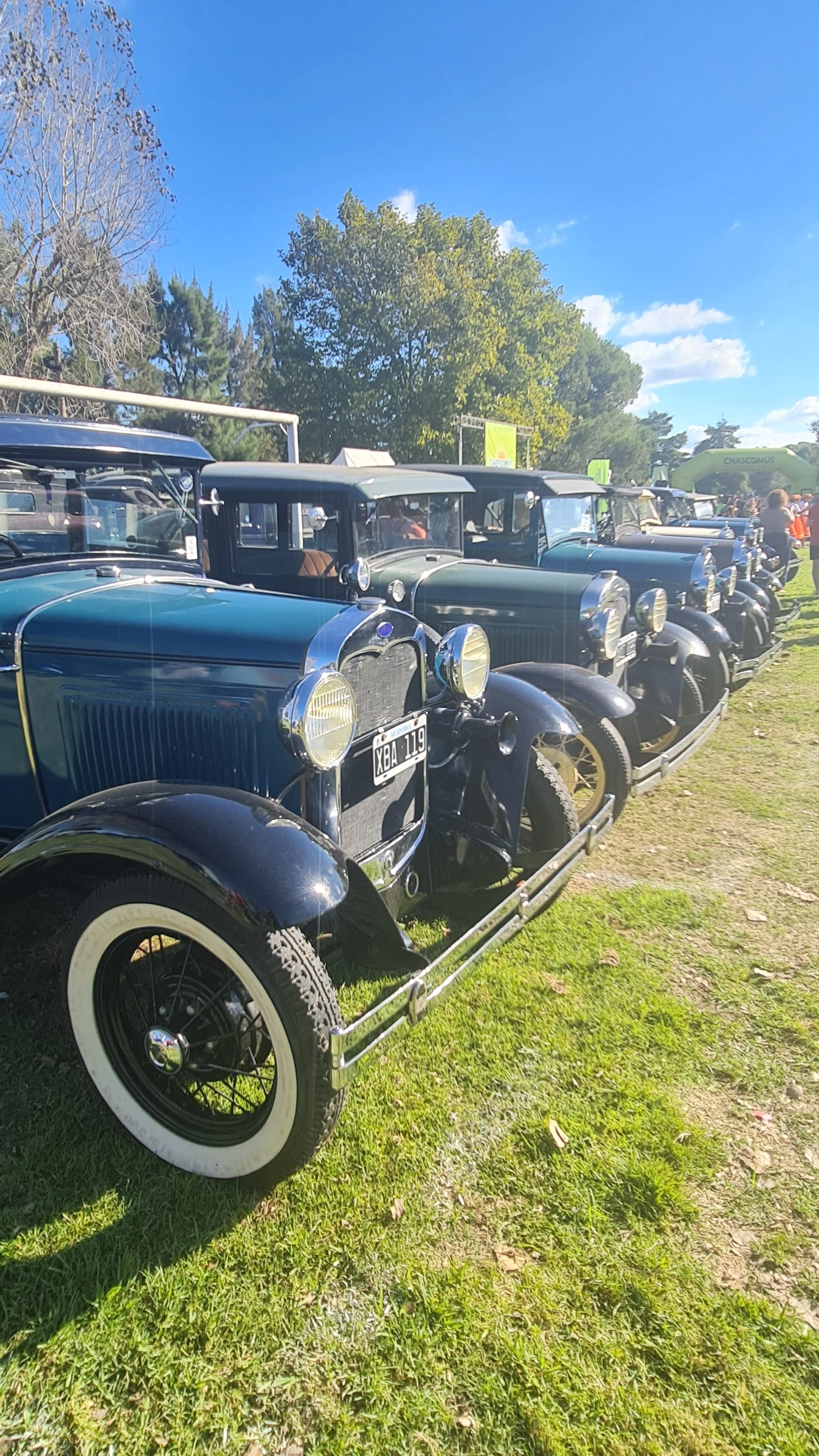 Fila de autos clásicos de color azul y negro en exhibición en un evento al aire libre, con árboles y cielo azul al fondo.