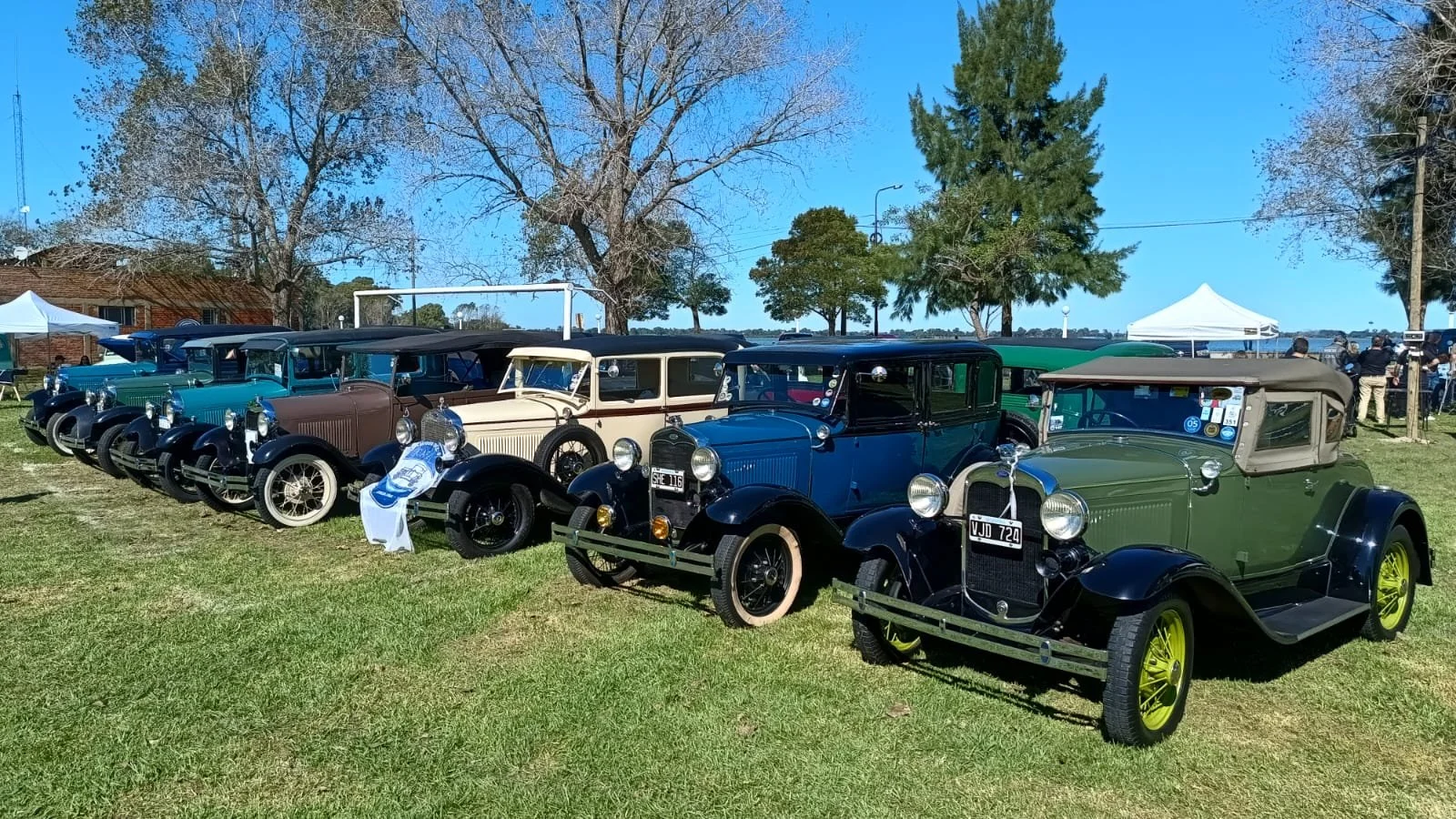 Línea de autos clásicos en exhibición al aire libre en un campo con árboles y cielo despejado.