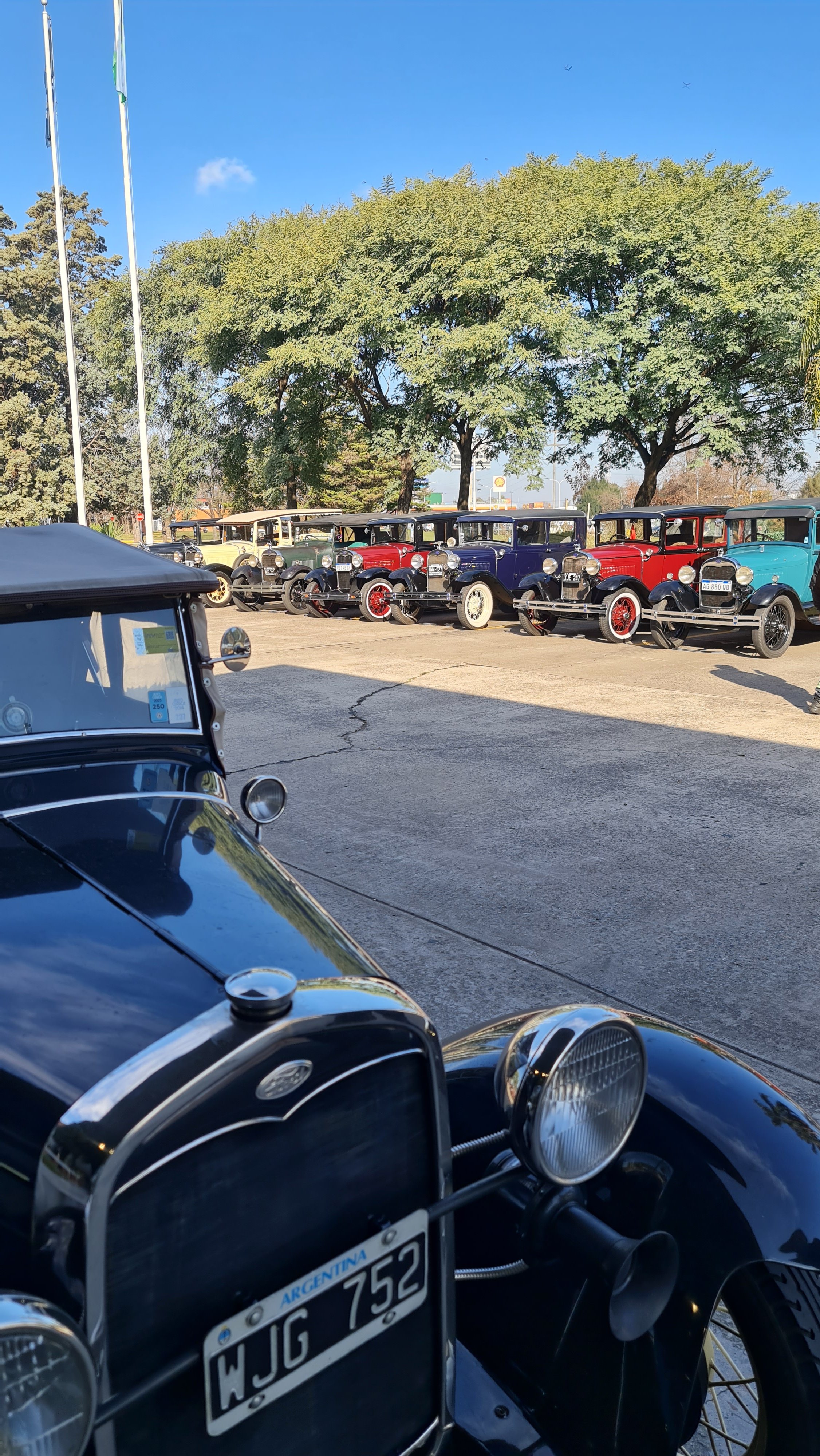 Varias autos antiguos estacionados en una fila al aire libre, con árboles y cielo azul de fondo.