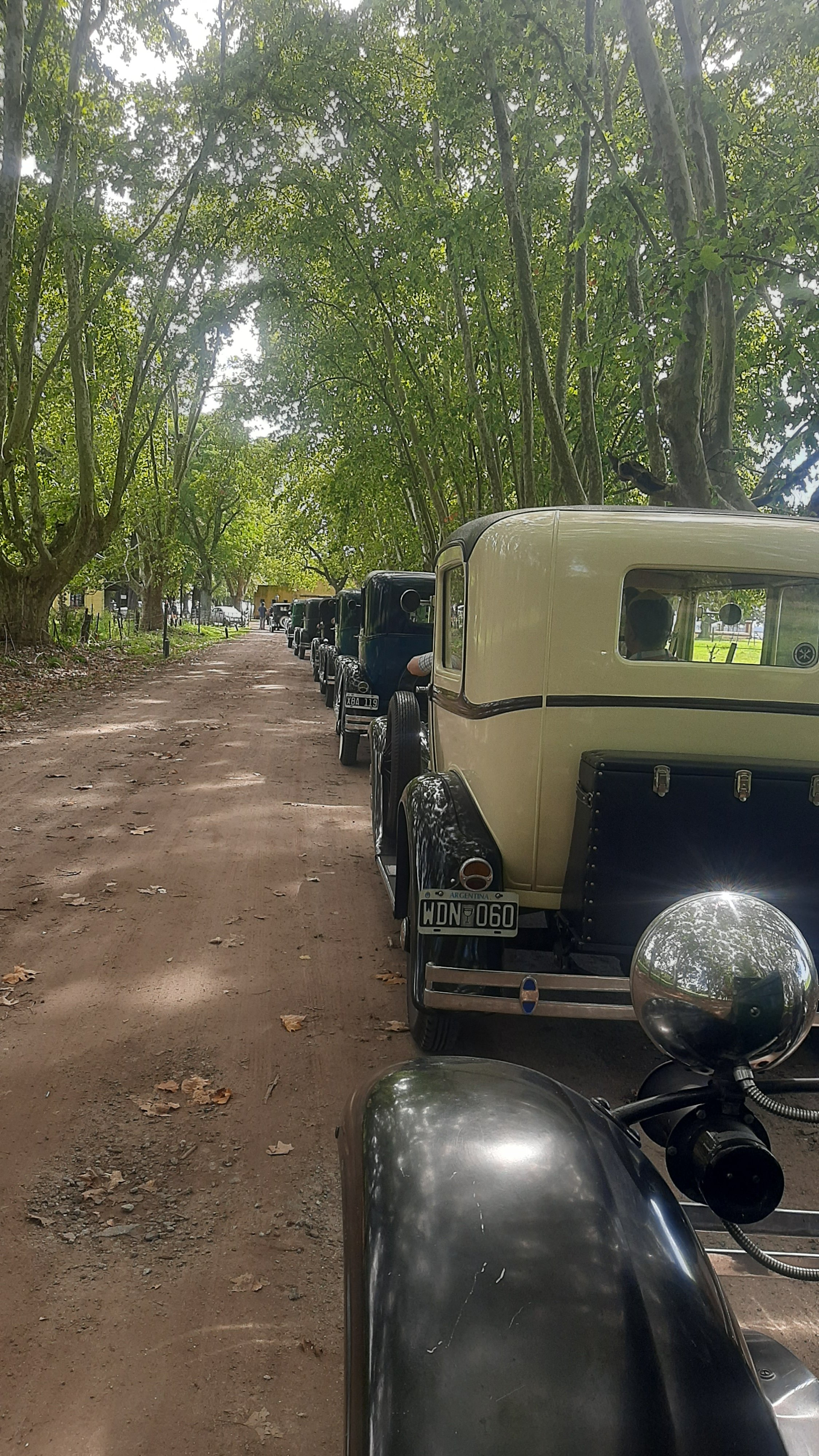 Filas de autos antiguos en un camino de tierra bajo árboles con hojas verdes.