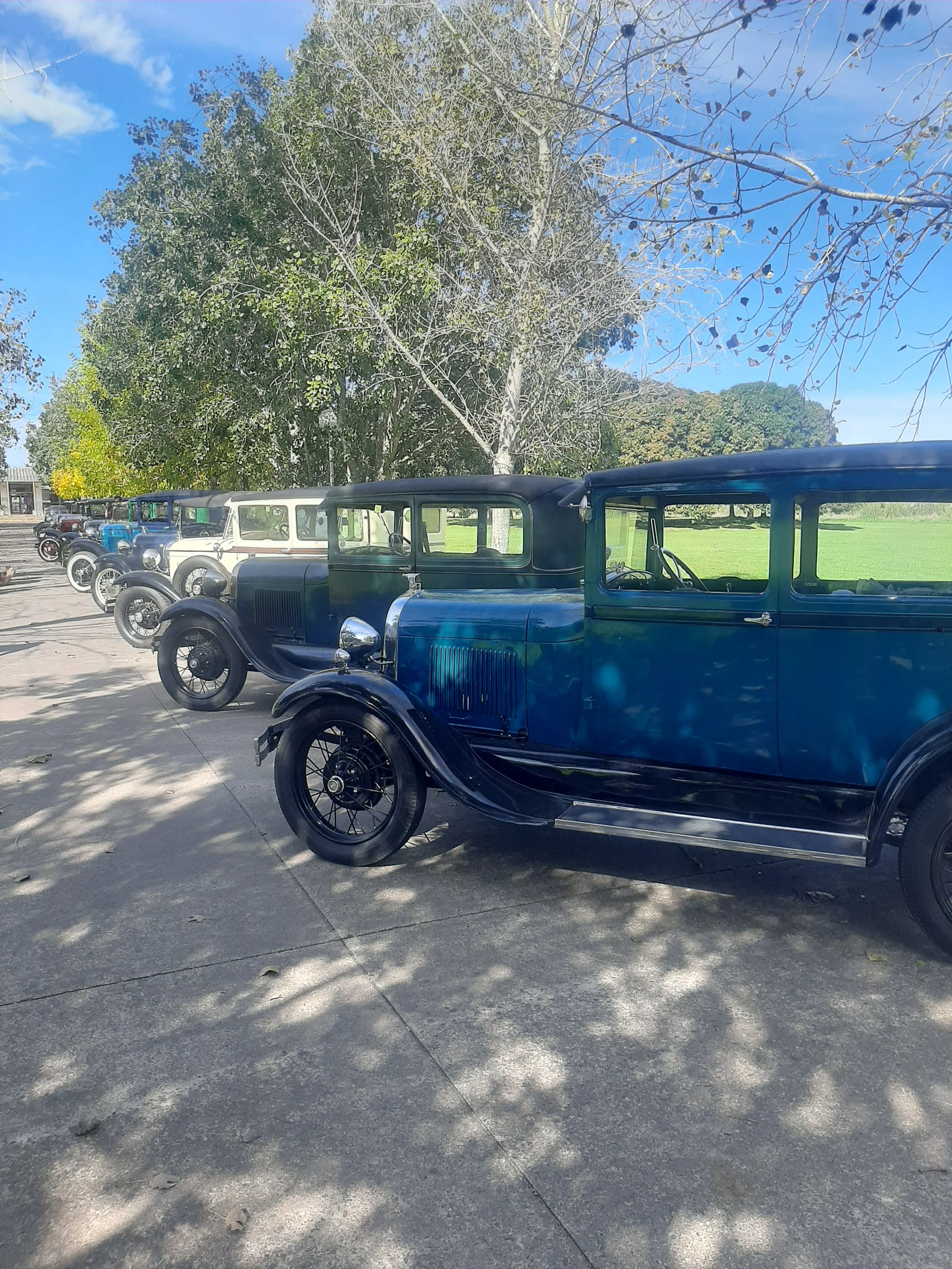 Fila de autos antiguos en un parque con árboles y cielo azul.