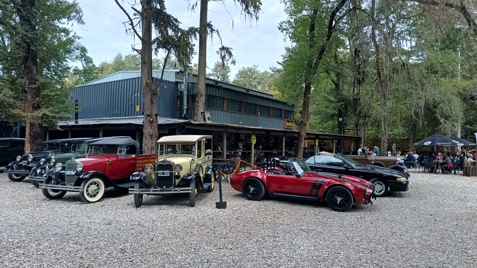 Vista de autos clásicos en exhibición en un parque o calle, con árboles y un edificio de fondo, y personas sentadas en mesas debajo de un paraguas.