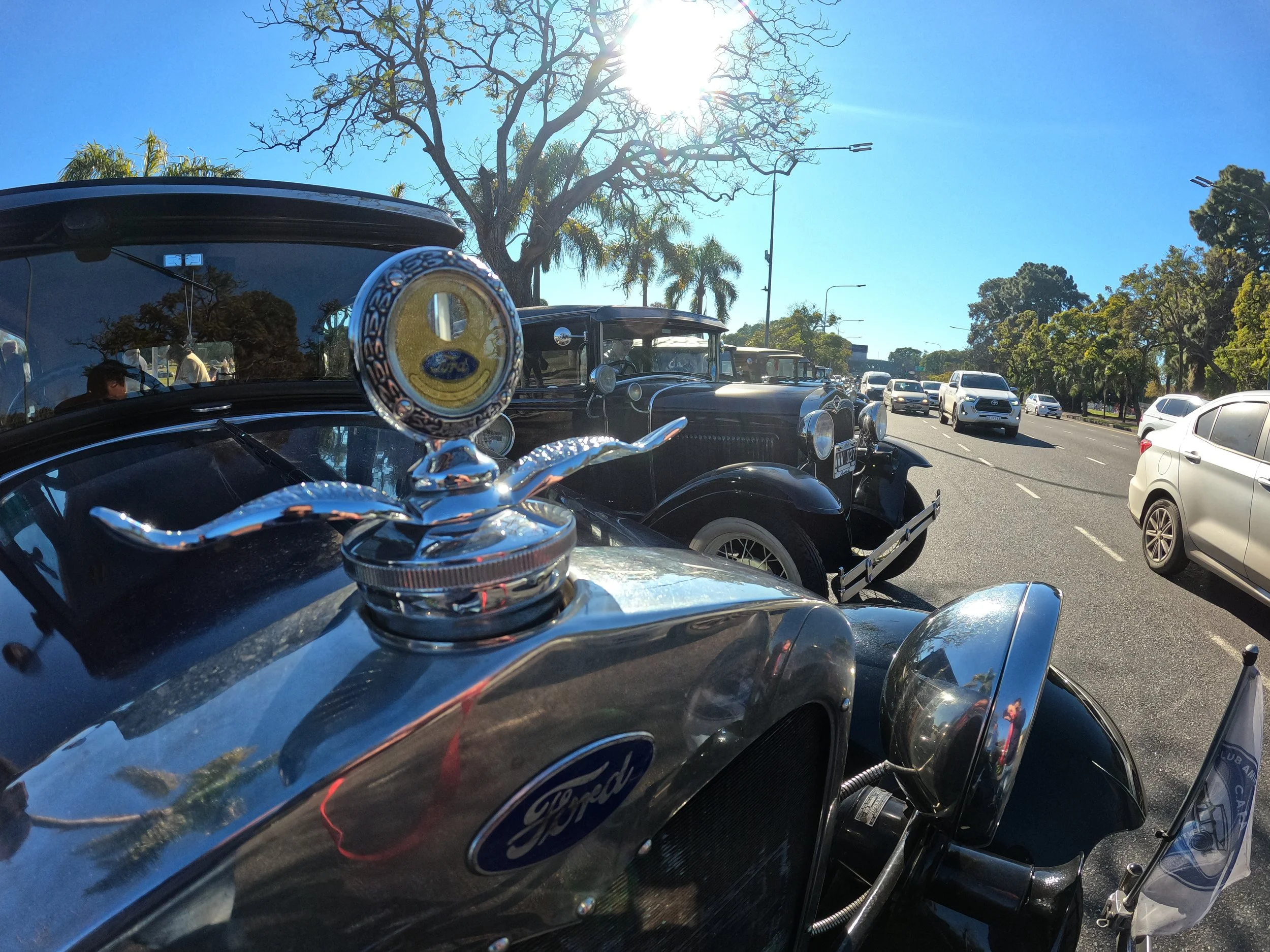 Camión clásico negro en una calle, con varios coches blancos y plateados, árboles con hojas verdes y ramas sin hojas, y el sol brillante en el cielo azul