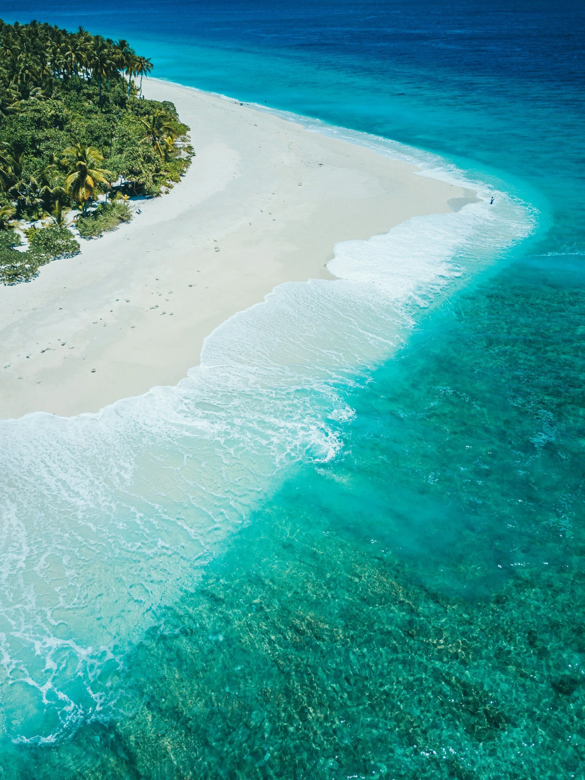 Aerial view of a tropical beach with white sand, lush green palm trees, and clear turquoise water with gentle waves.
