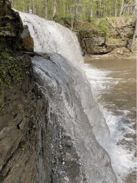 Waterfall flowing over rocky ledge into a river surrounded by trees.
