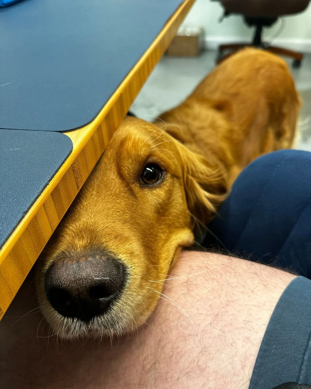 Do you see it? Come closer. 

Happy Friday from Pepper Potts.