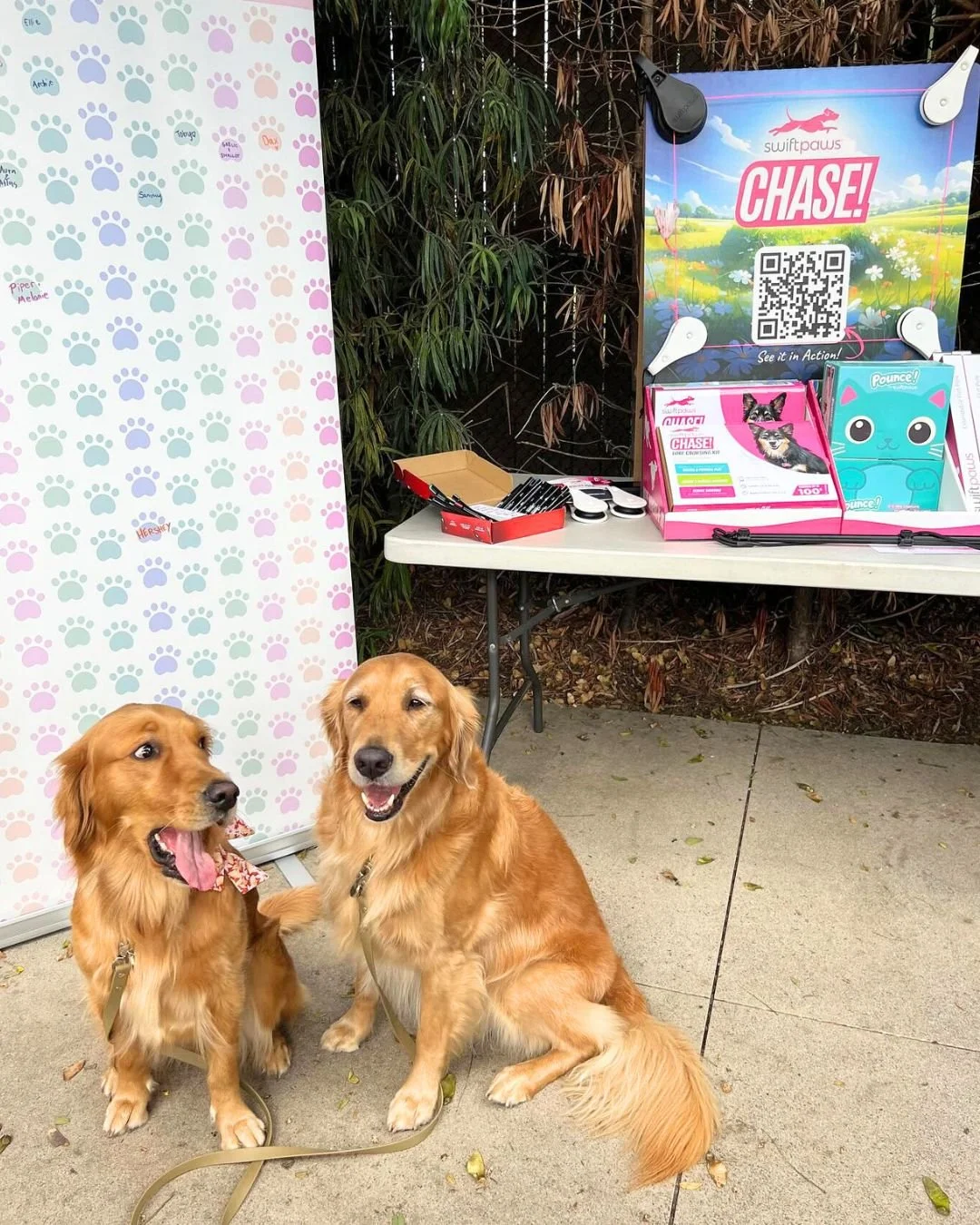 Versatility is the name of the game with the structural design of this display. Need the full display? Cool. It's super sturdy in case a dog bumps into it. Just need to use the top tier and back panel? Yep, you can do that, too. How about just the ba