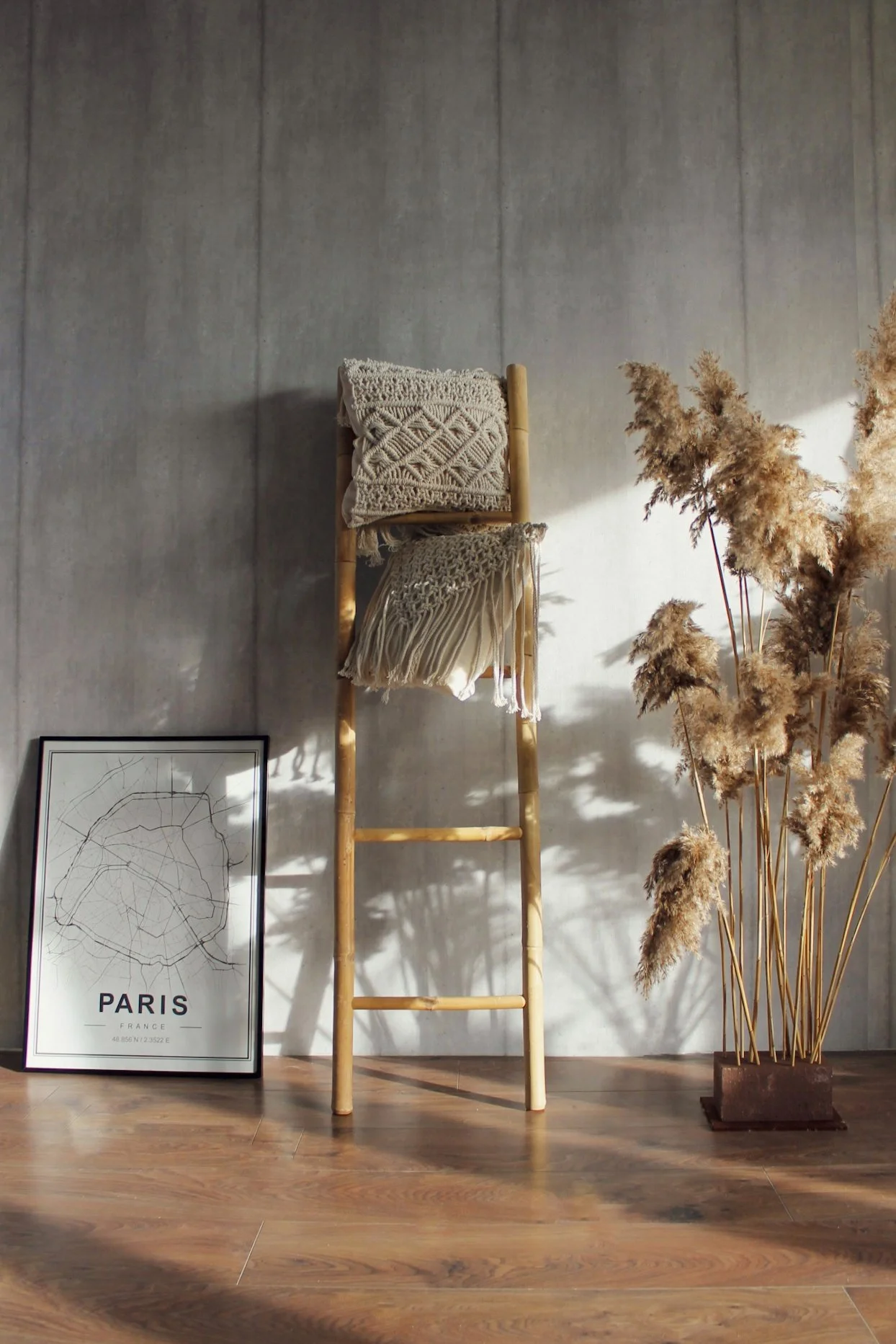 IMG_0742_Original 2.JPG