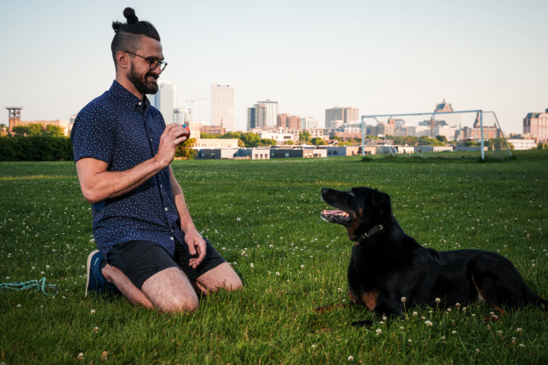Why Balanced Dog Training Could be the Missing Piece in Your Training Puzzle
