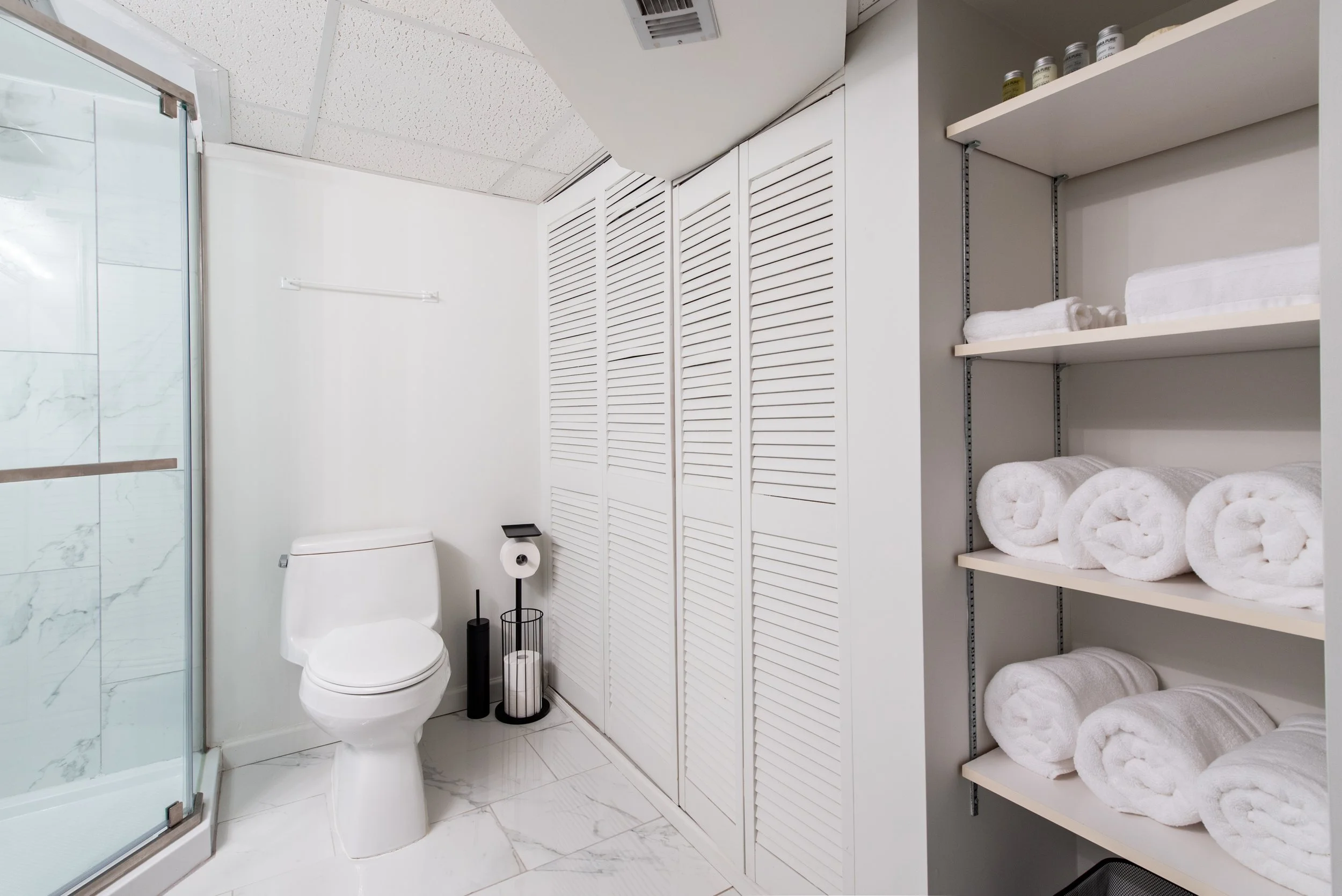 Bathroom in Basement