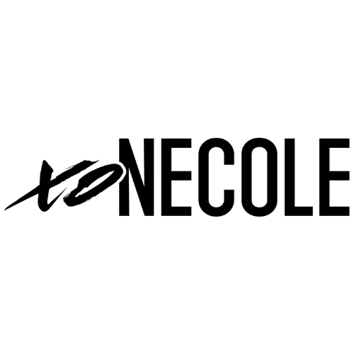 The Netflix logo in black text on a black background.