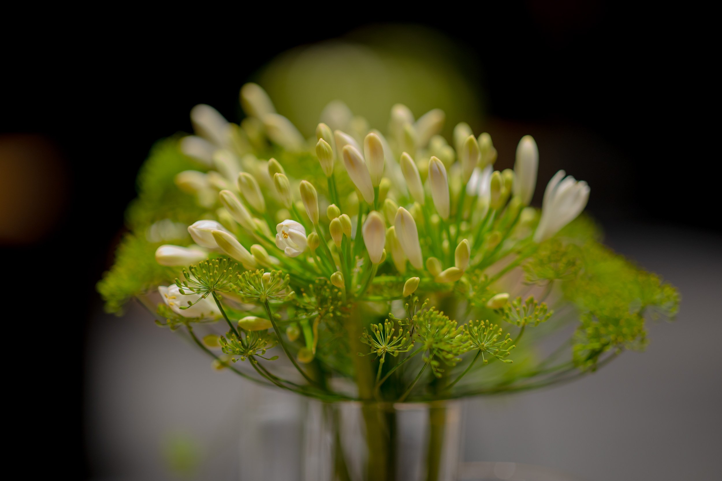 Nahaufnahme von weißen und grünen Blumen mit schmalen Blütenstielen in einer Vase