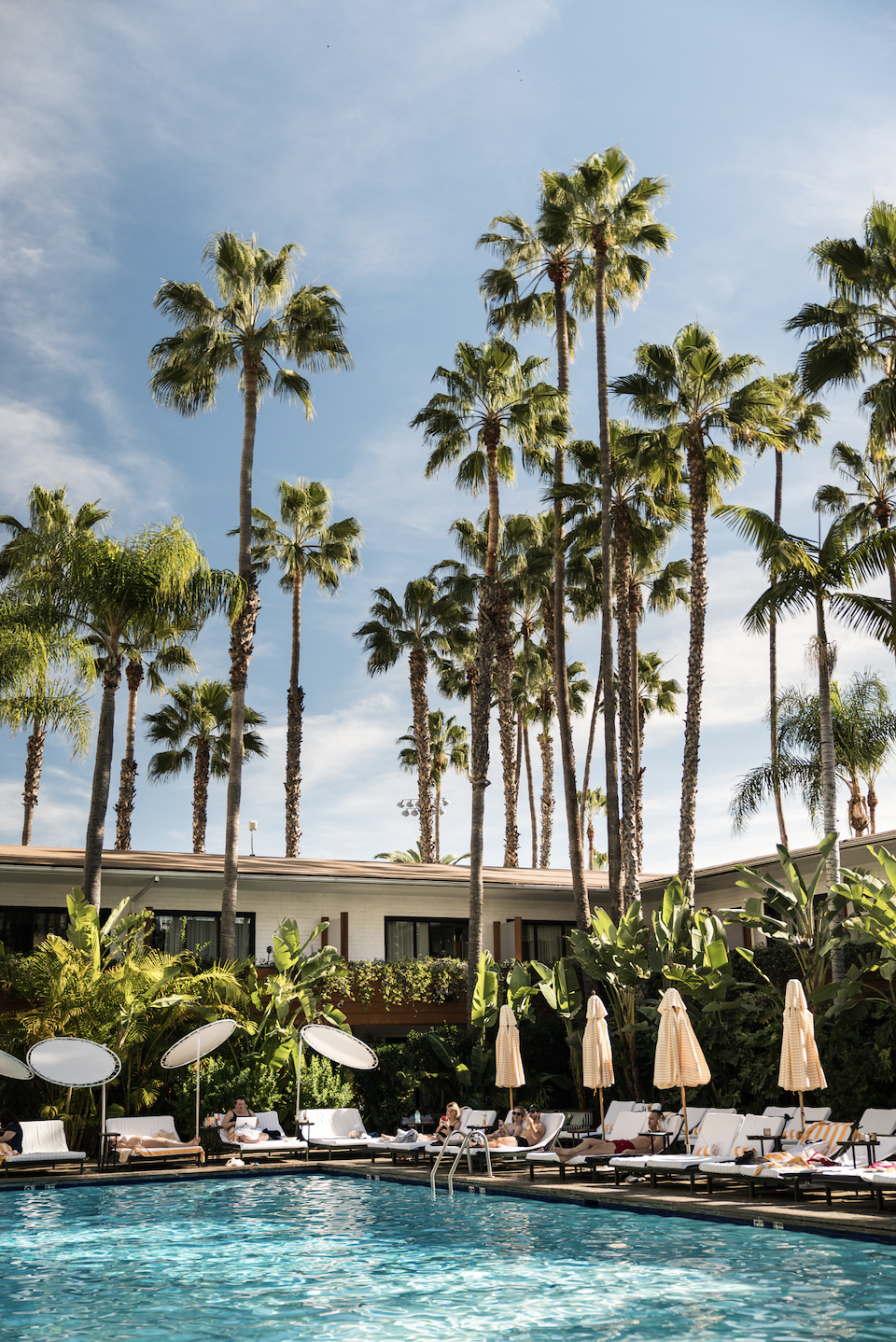 Screenshot 2026-01-21 at 4.58.15 PM.png