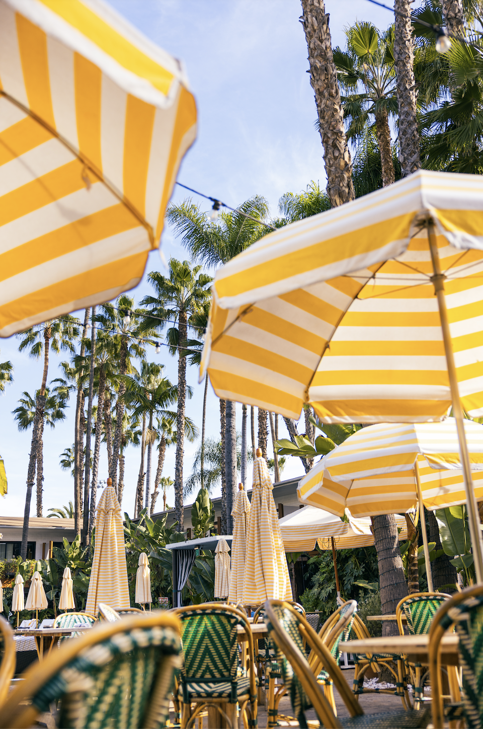 Screenshot 2026-01-22 at 11.57.24 AM.png