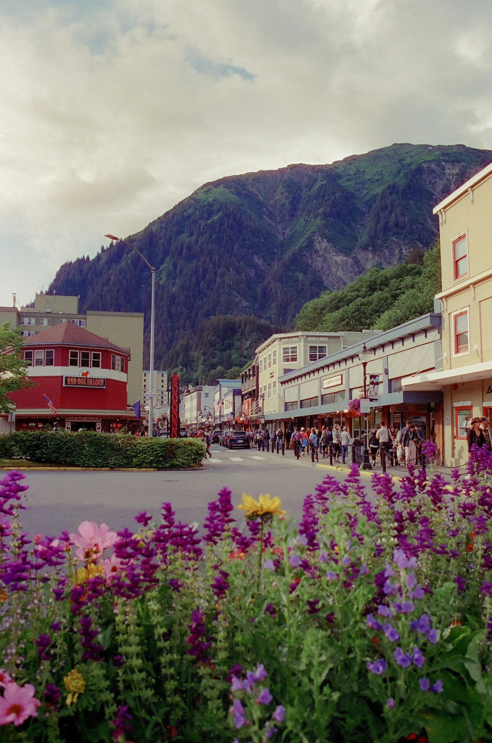 Caring for Alaska, Season After Season