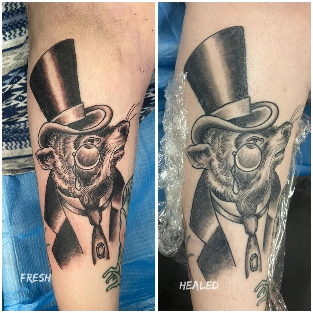 Black and Gray Raccoon Traditional Tattoo made in West Babylon New York