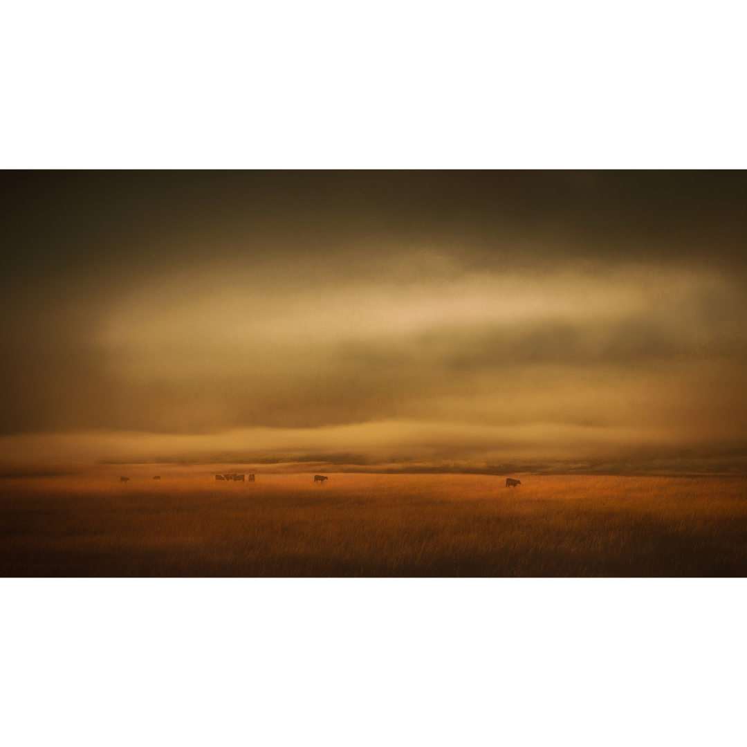 Grazing in the Morning Mist.png