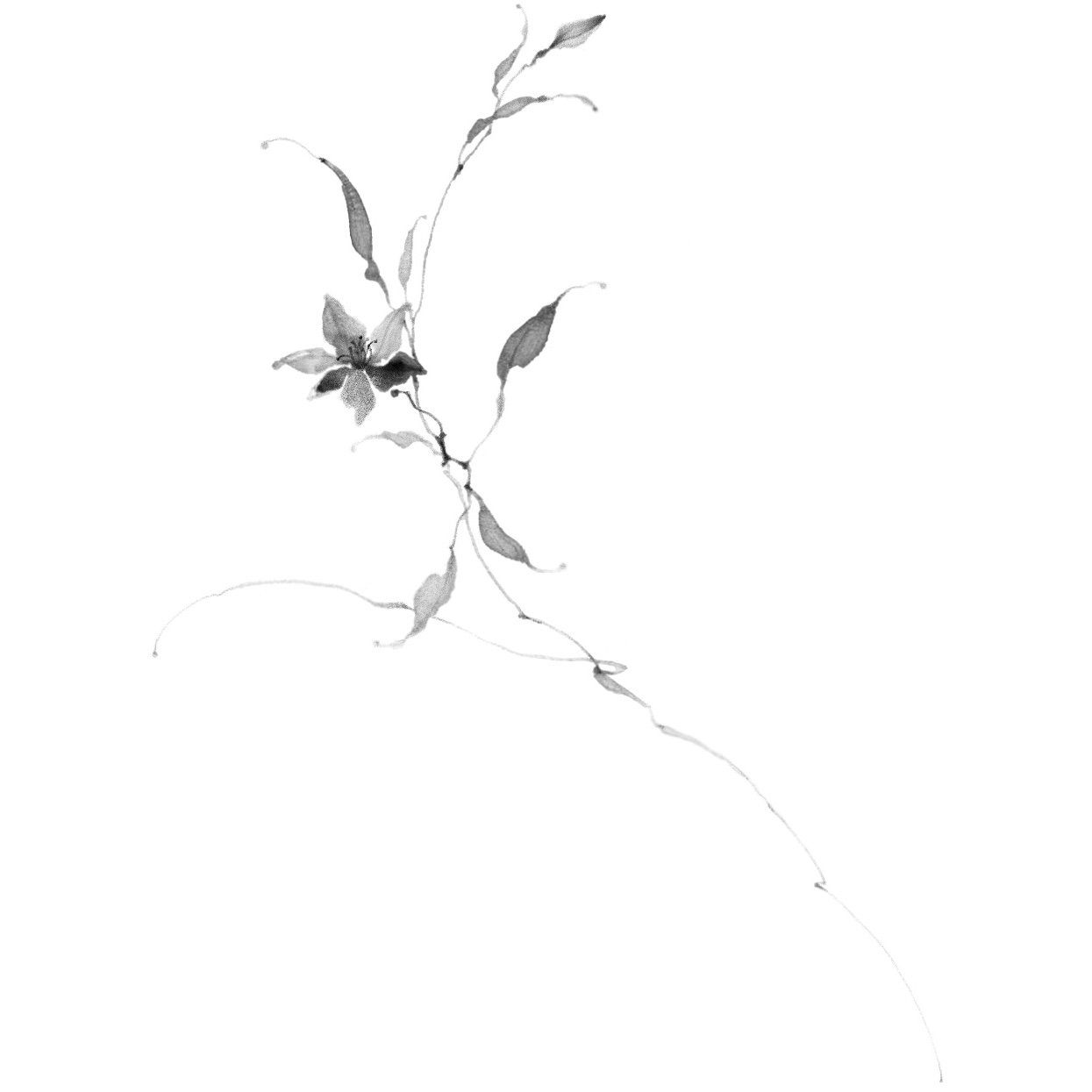 Fleur no. 62