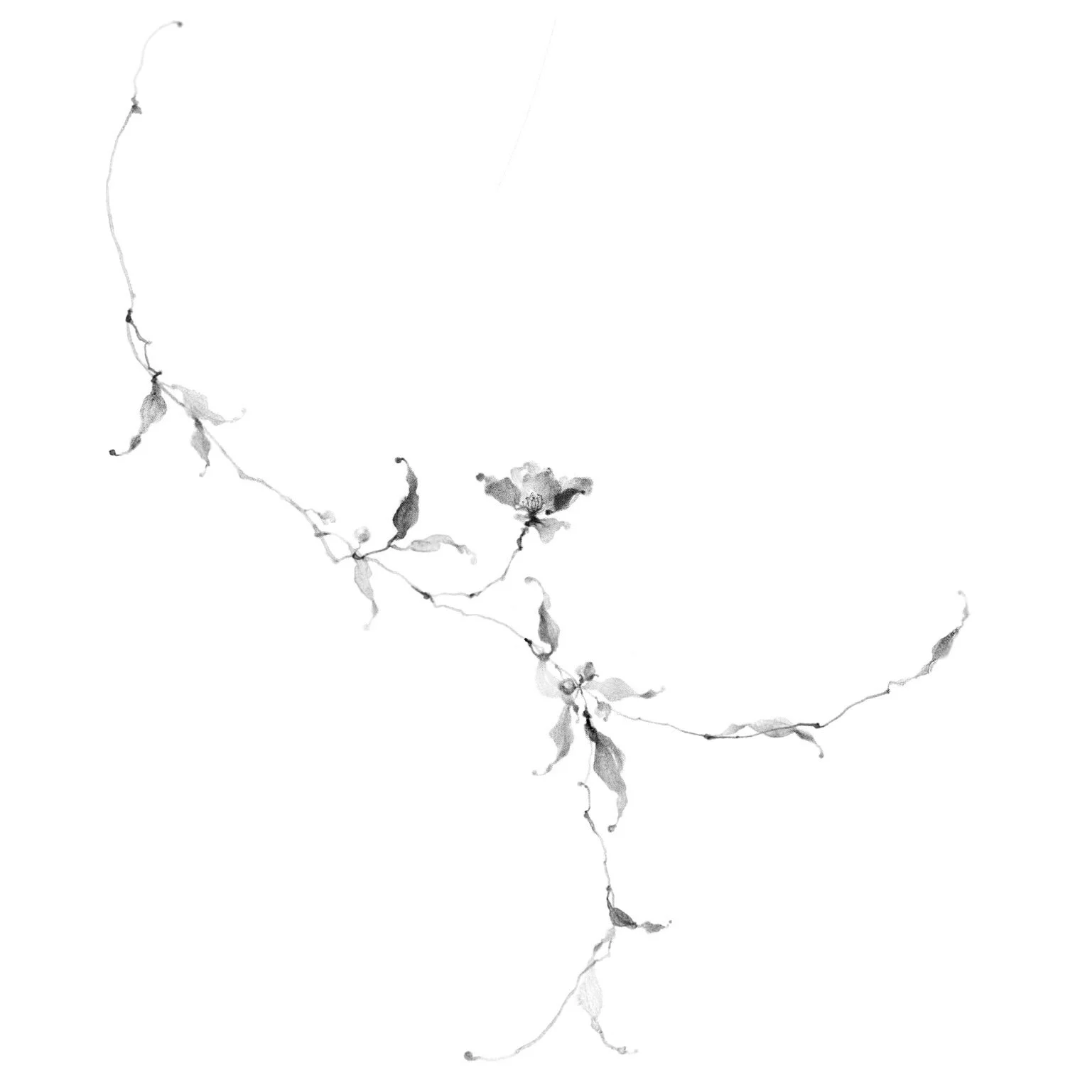 Fleur no. 73