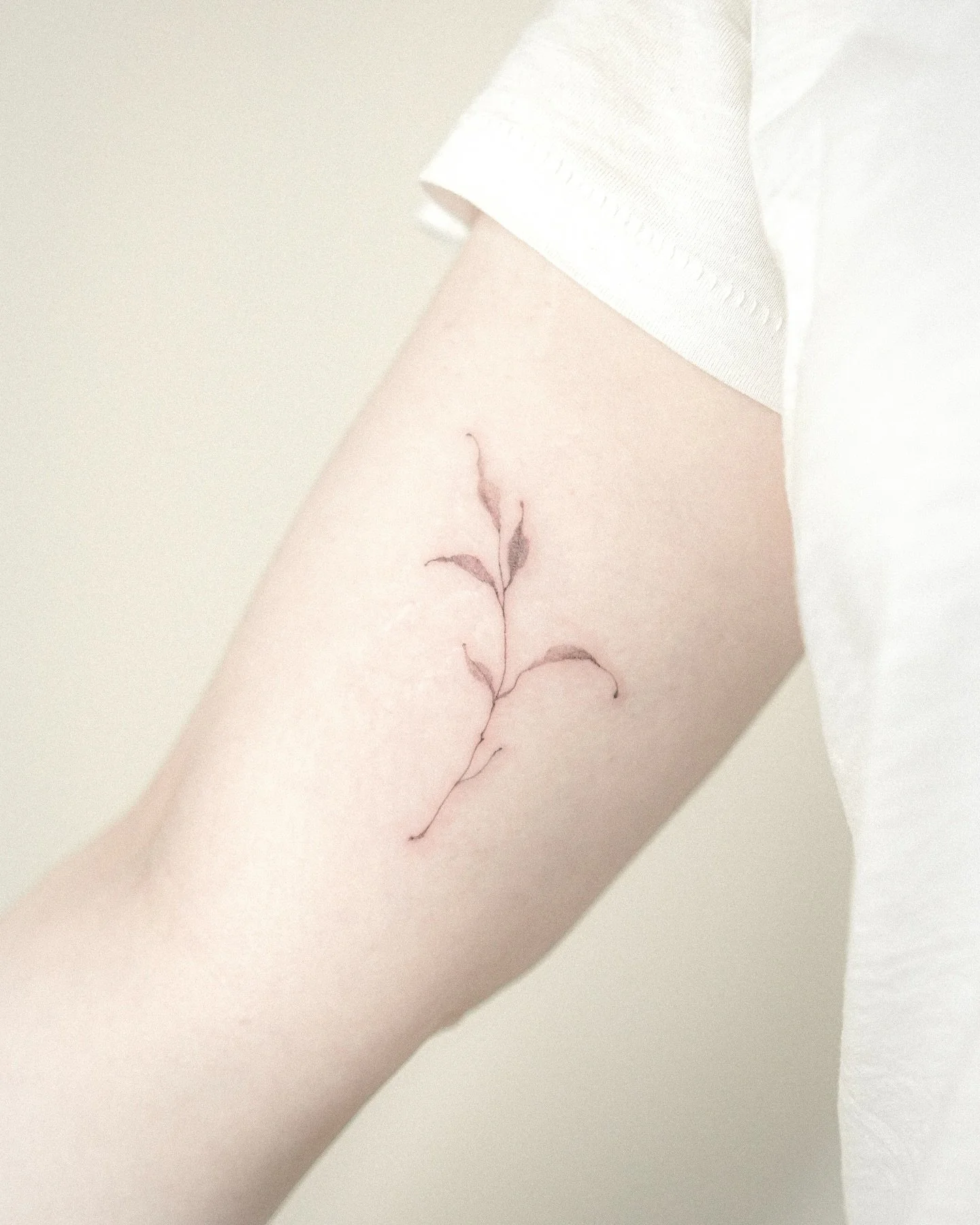 Feuille no. 3 ( iv )