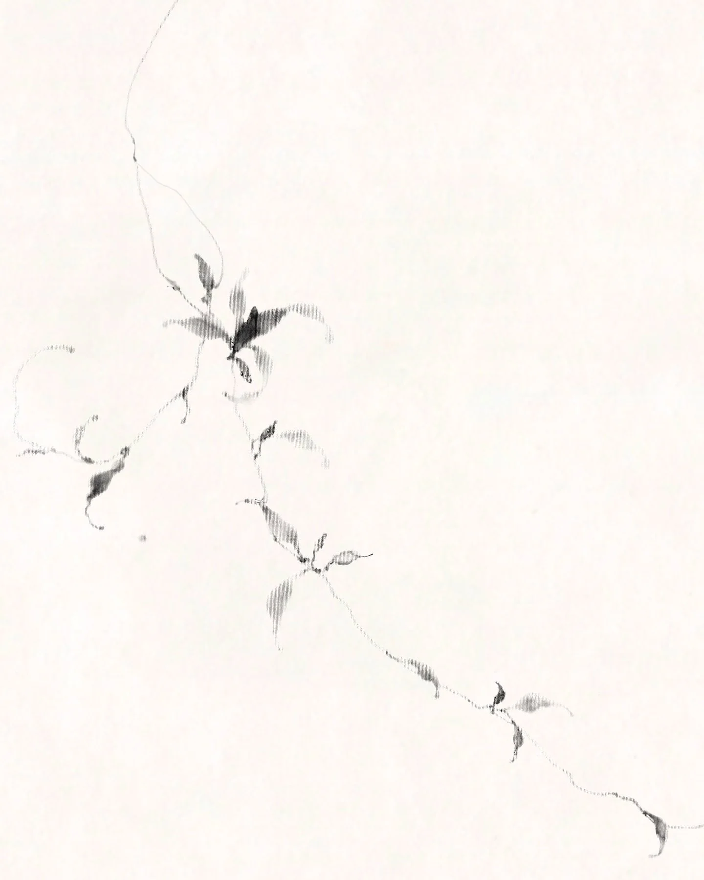 Leaves Through My Eyes : Feuille no. 6 ╱ The movement of leaves in silence ❦

┆

#𝓶𝓪𝓽𝓪𝓽𝓽 | #𝓂𝒶𝒻𝓁𝑜𝓌𝑒𝓇𝒾𝓃𝑔 { #matattflash2025 | #matattavailable }