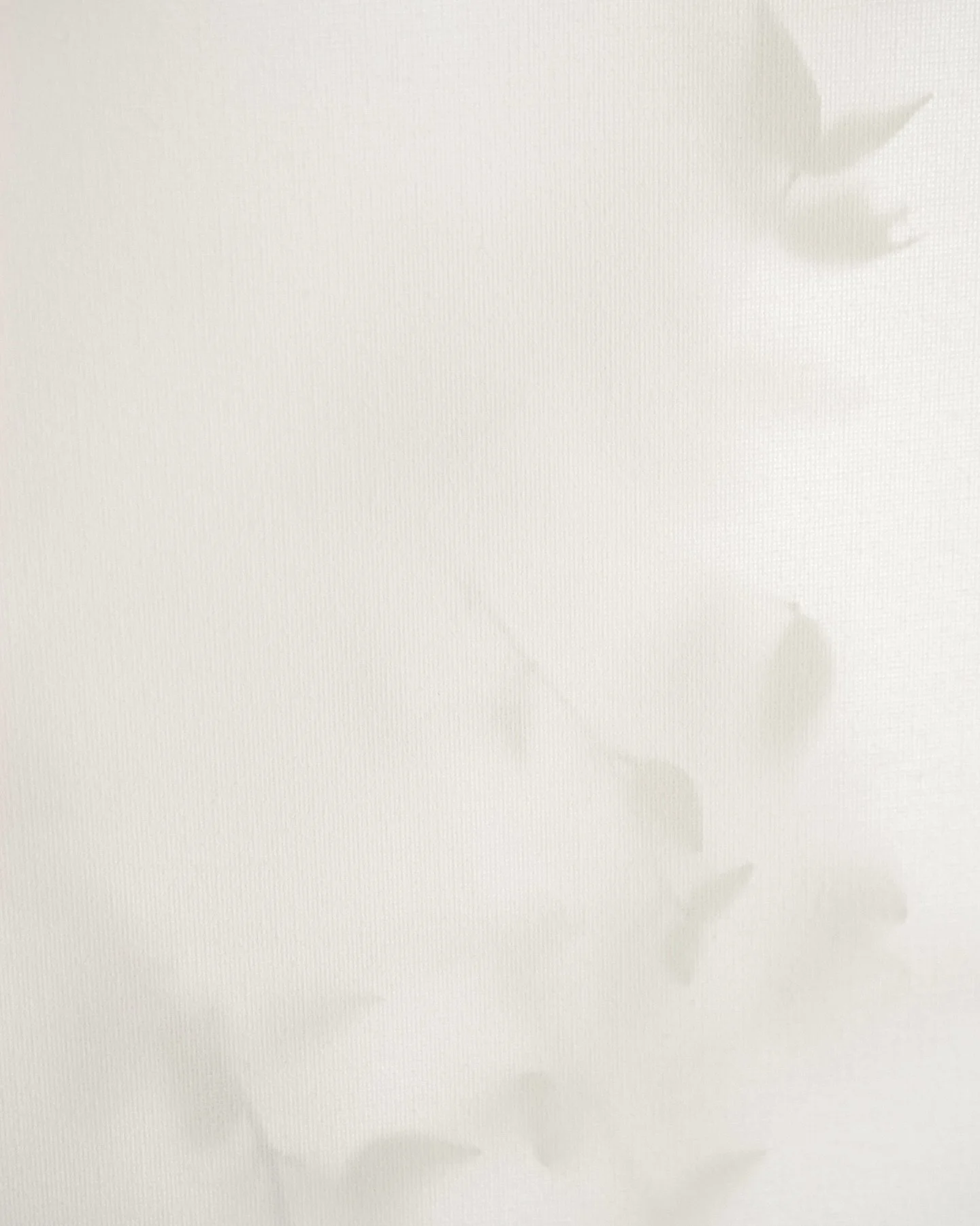 ✽

╱ 

i : ⋆˙⟡
ii - iii ⋆ jan : the first light of 2025 ⋆「◉&macr;」｡⊹˚ ₊ ⛶
iv ⋆ feb : singapore
v ⋆ mar : tattoo workshop
vi - vii ⋆ apr : tokyo, fuji, kyoto, moriyama
viii ⋆ may : 𑁍ࠬܓ
ix ⋆ jun : singapore
x - xii ⋆ jul - aug : miura, los angeles, ne