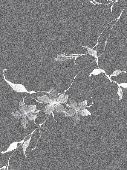 ✽ ╱ Fleur no. 41 ┈ Trachelospermum jasminoides ( Star jasmine )

:

a quiet kind of love

pure, gentle, and steady

the kind that blooms softly

and stays long after the night fades ∘