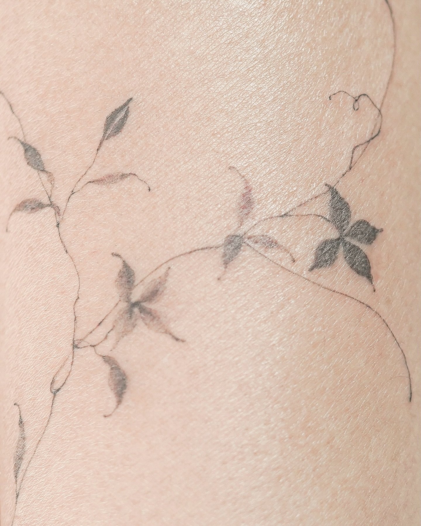 ┈ Shading &amp; Filling