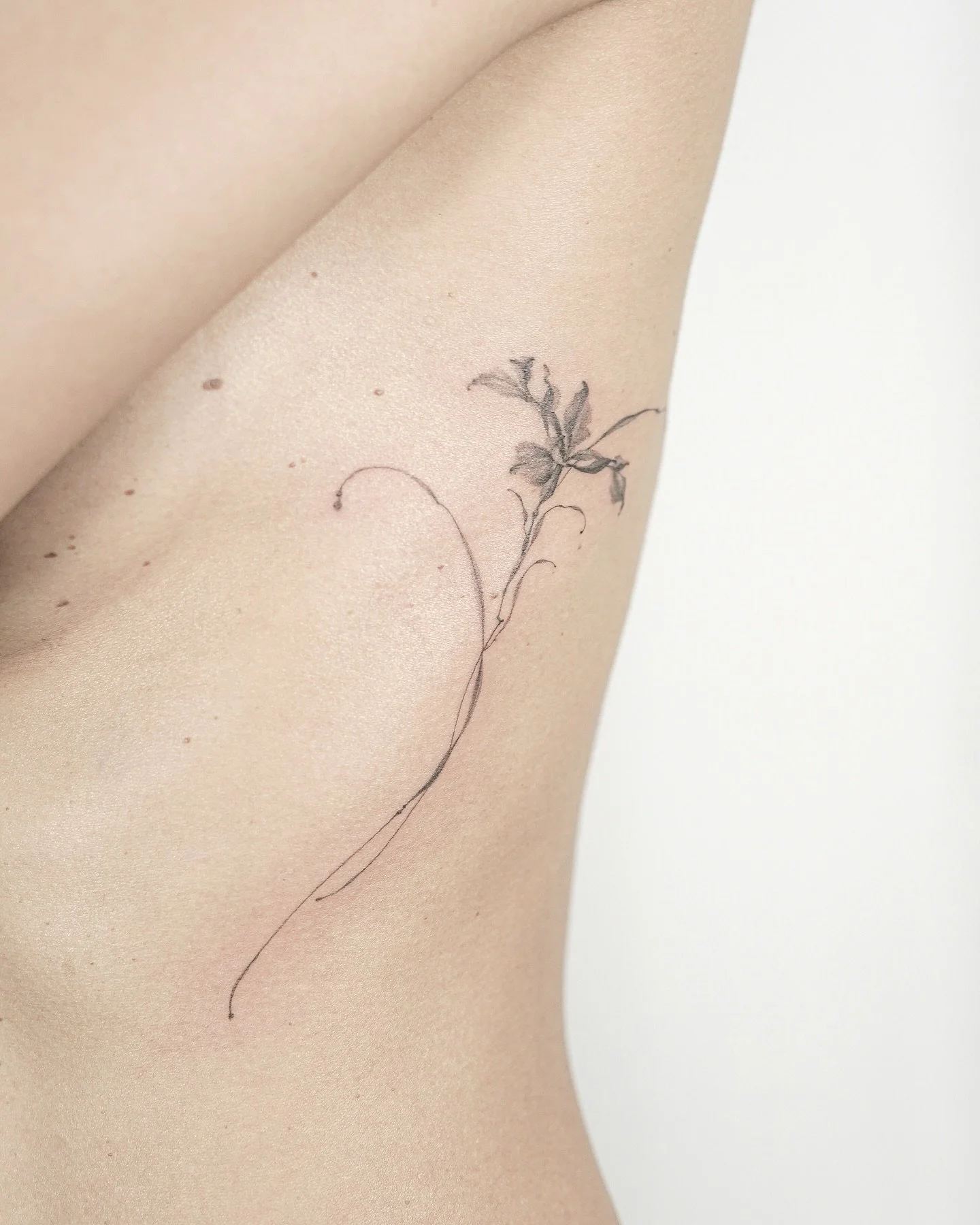 Iris sibirica L.

╱

a quiet bloom in cold winds
strength wrapped in silk
grace that survives the frost