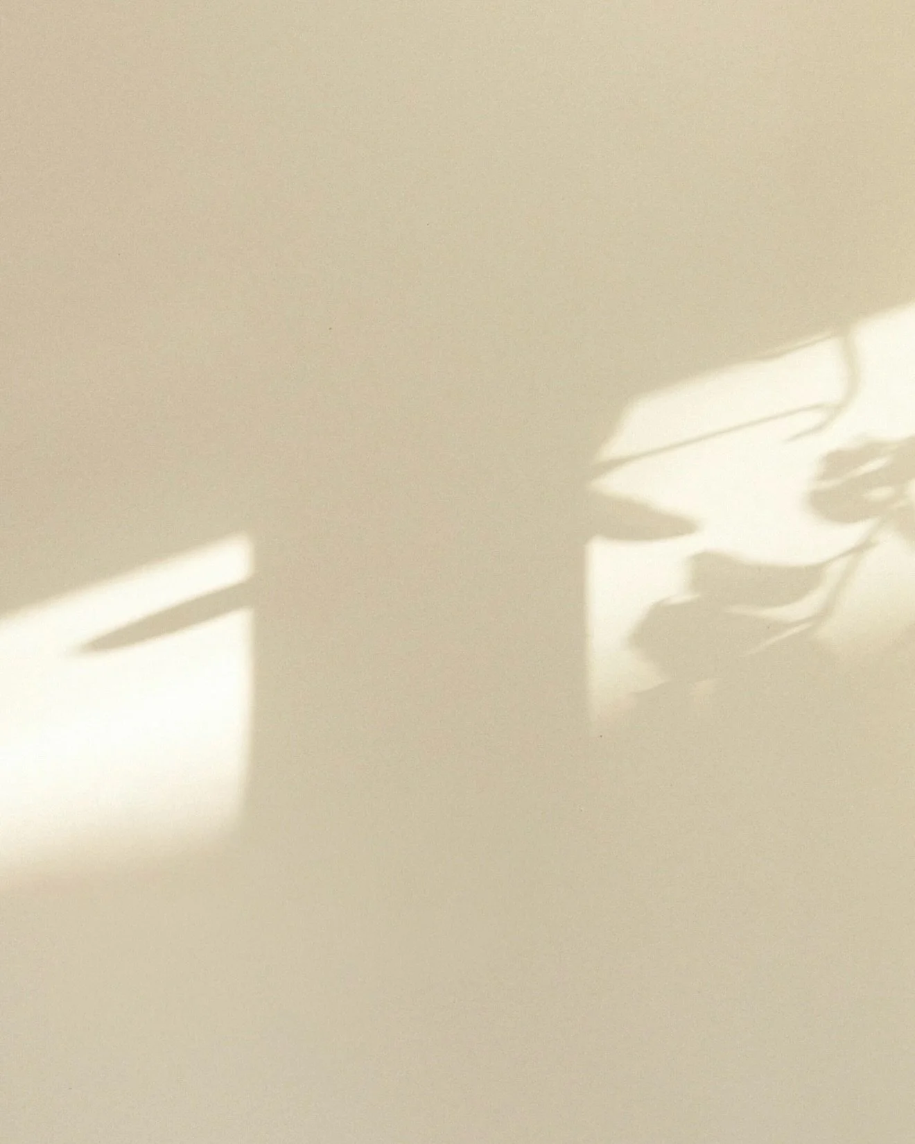 ┈ MA Things ,
things that inspire my tattoos ╱✽